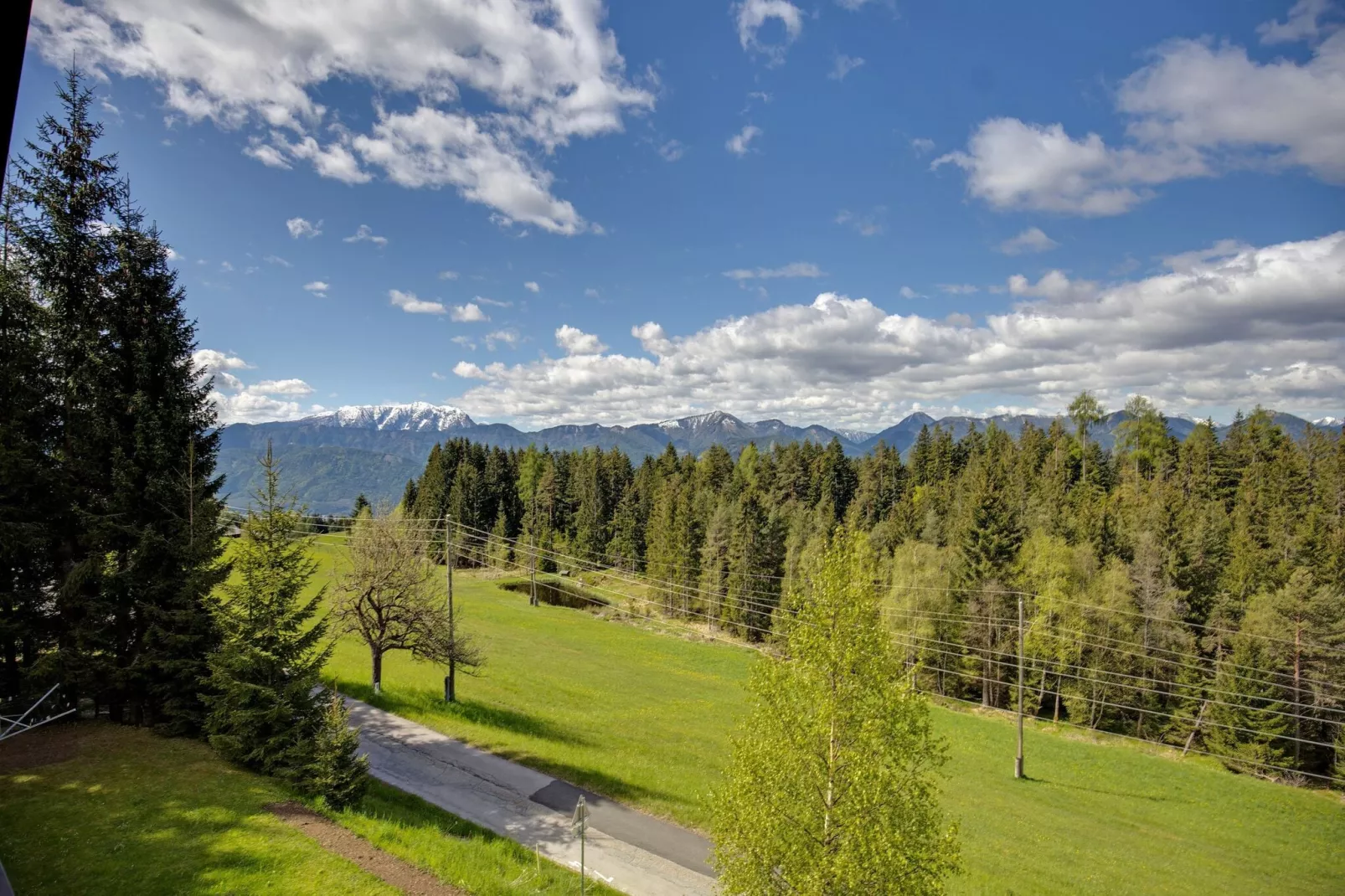 Apartment Mooswald 4-Gebieden zomer 1km