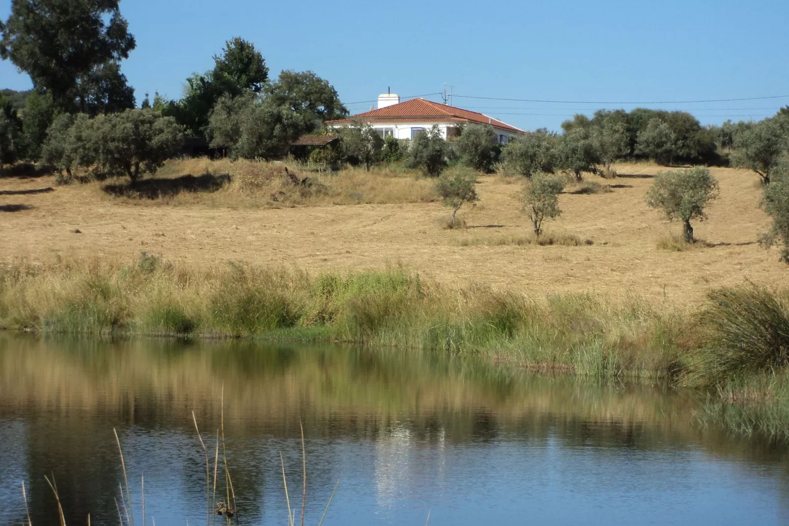 Casa do Forno-Gebieden zomer 1km