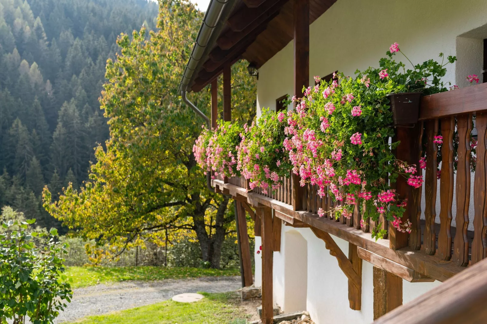 Zois Hütte-Terrasbalkon