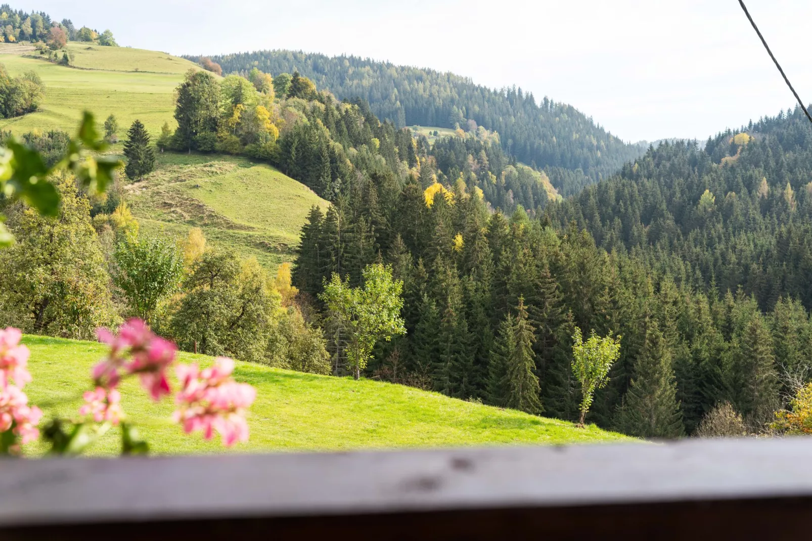 Zois Hütte-Uitzicht zomer