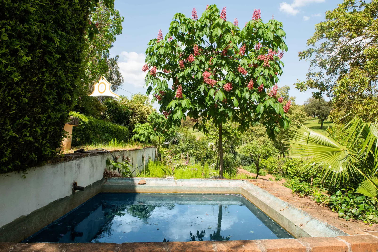 Casa do Olival-Zwembad