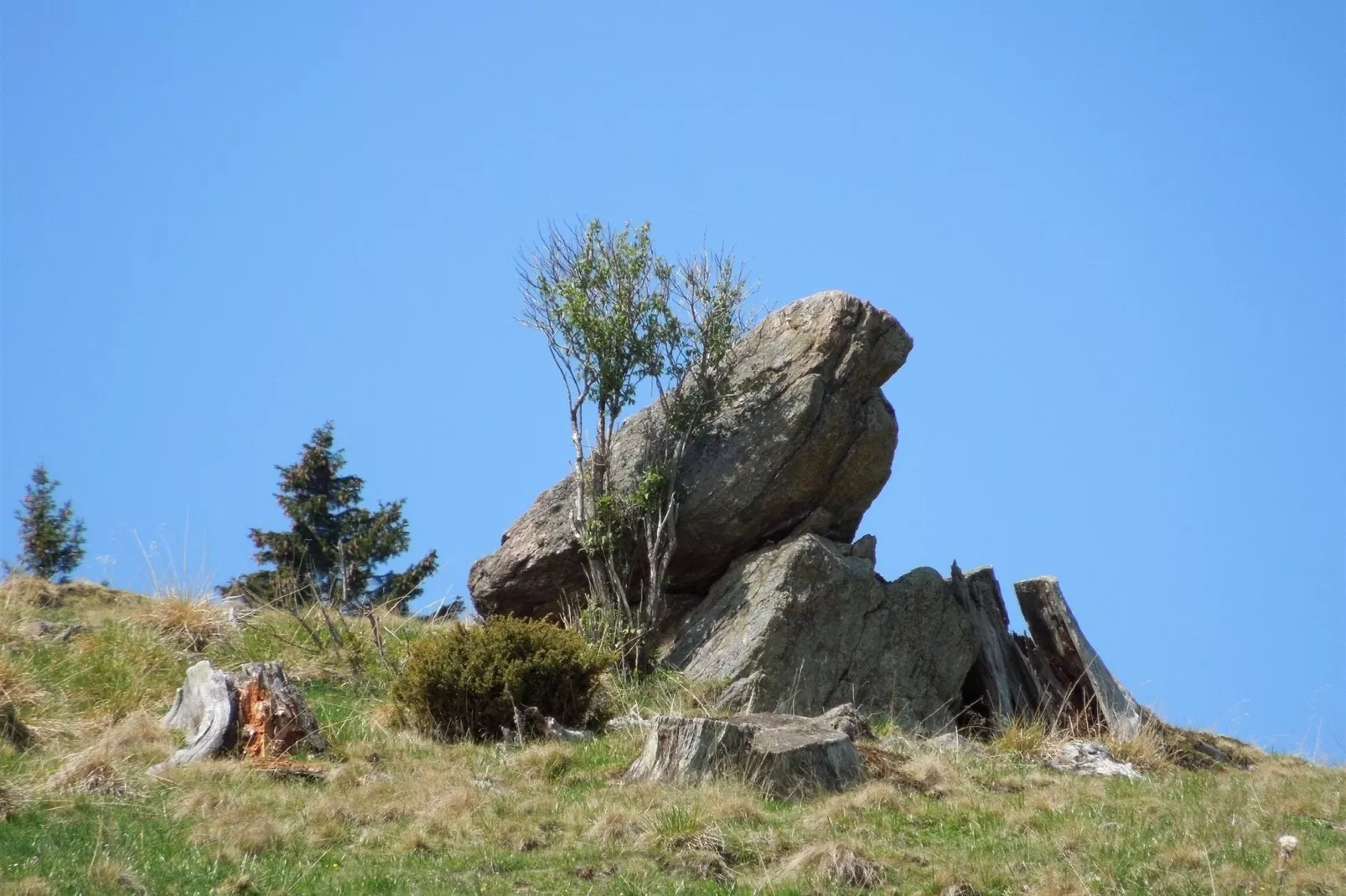 Schröllhütte-Gebieden zomer 20km