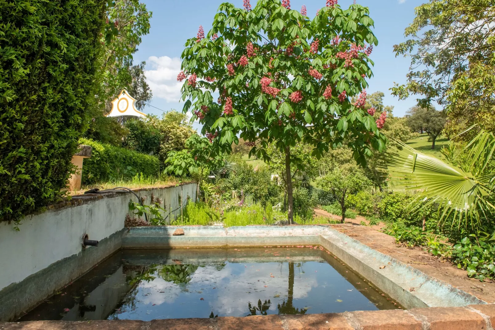 Casa da Figeira-Zwembad