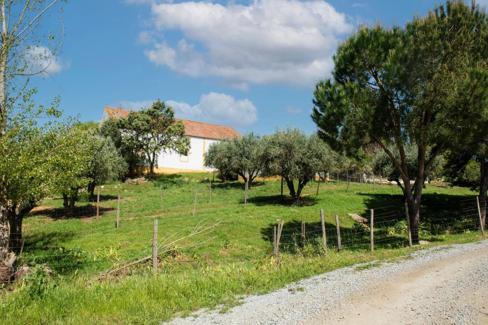 Casa da Figeira-Gebieden zomer 5km