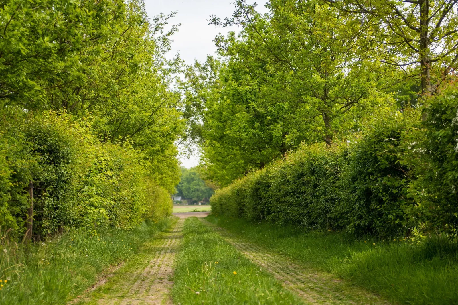 Meidoornhoeve-Niet-getagd