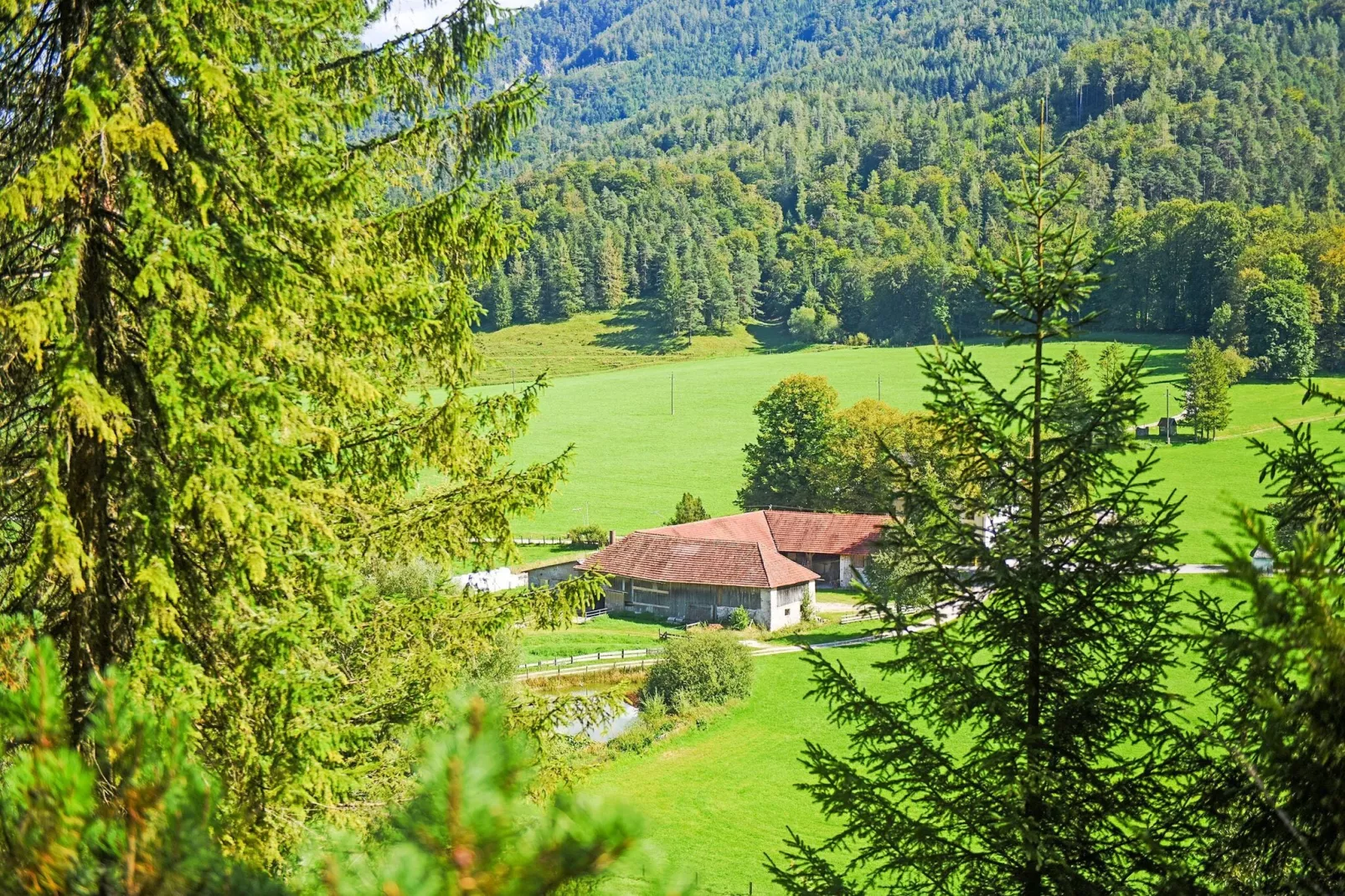Chalet Astrid-Gebieden zomer 5km