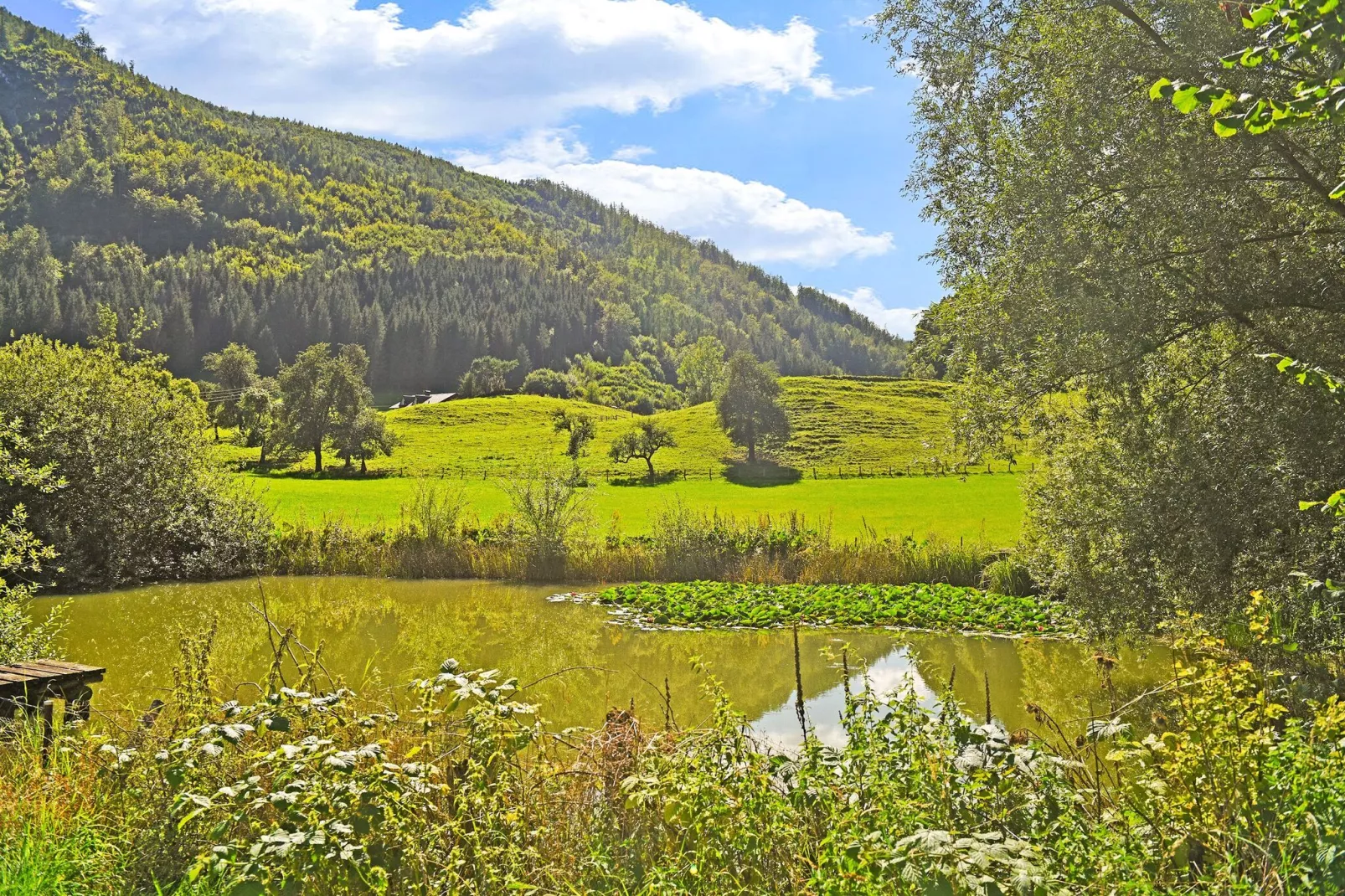 Chalet Astrid-Gebieden zomer 5km