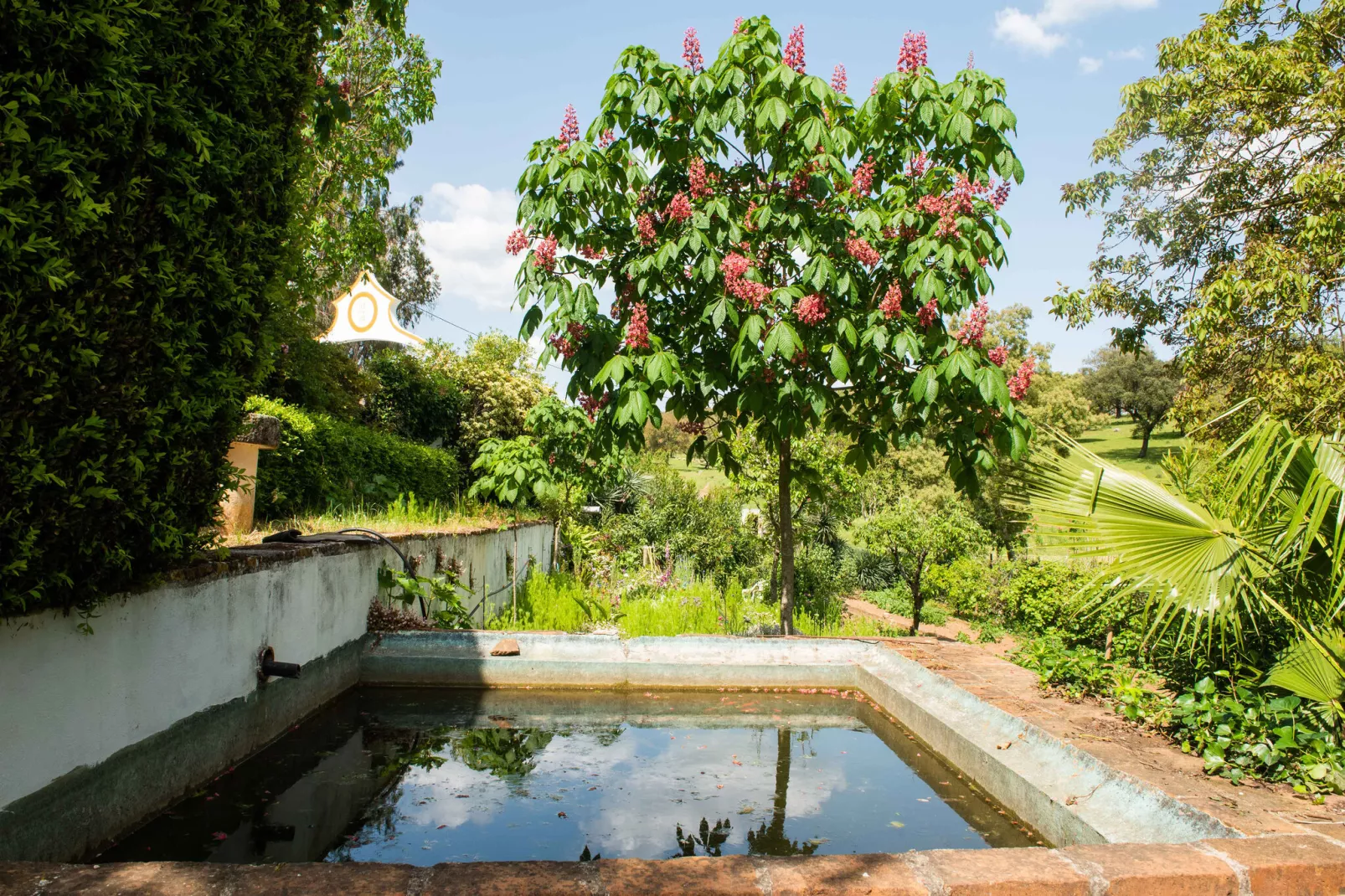 Casa do Forno de Pão-Zwembad