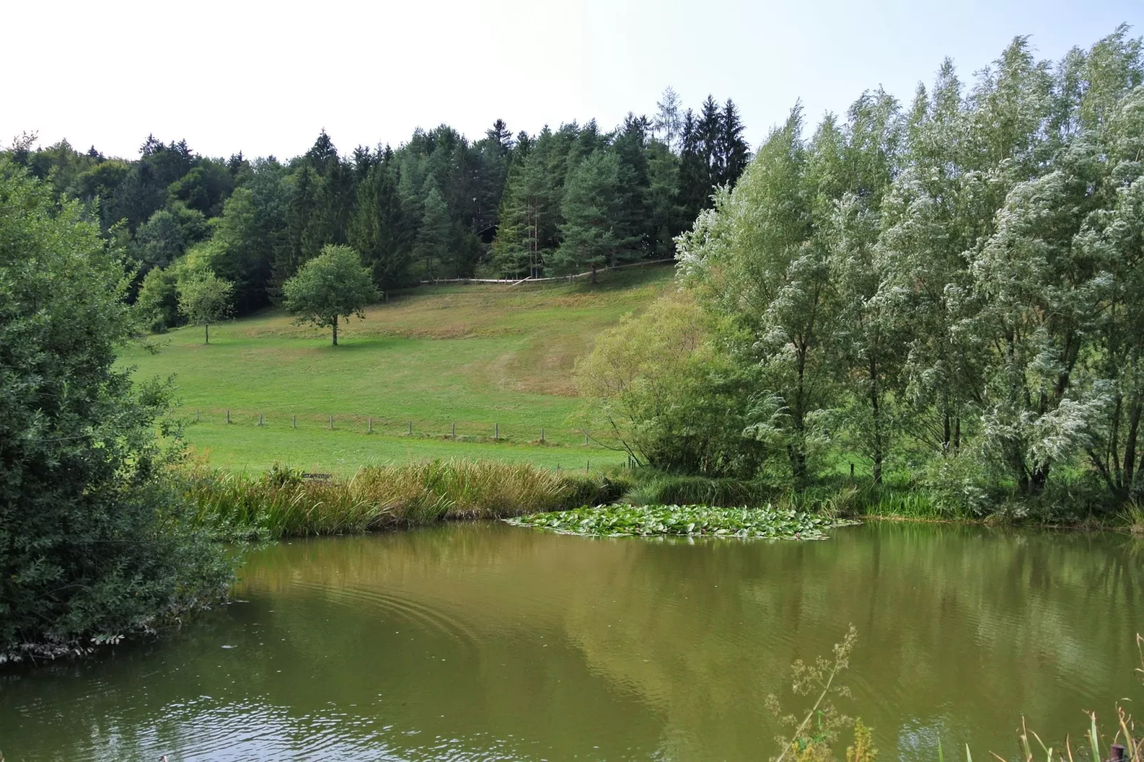 Chalet Astrid-Gebieden zomer 1km