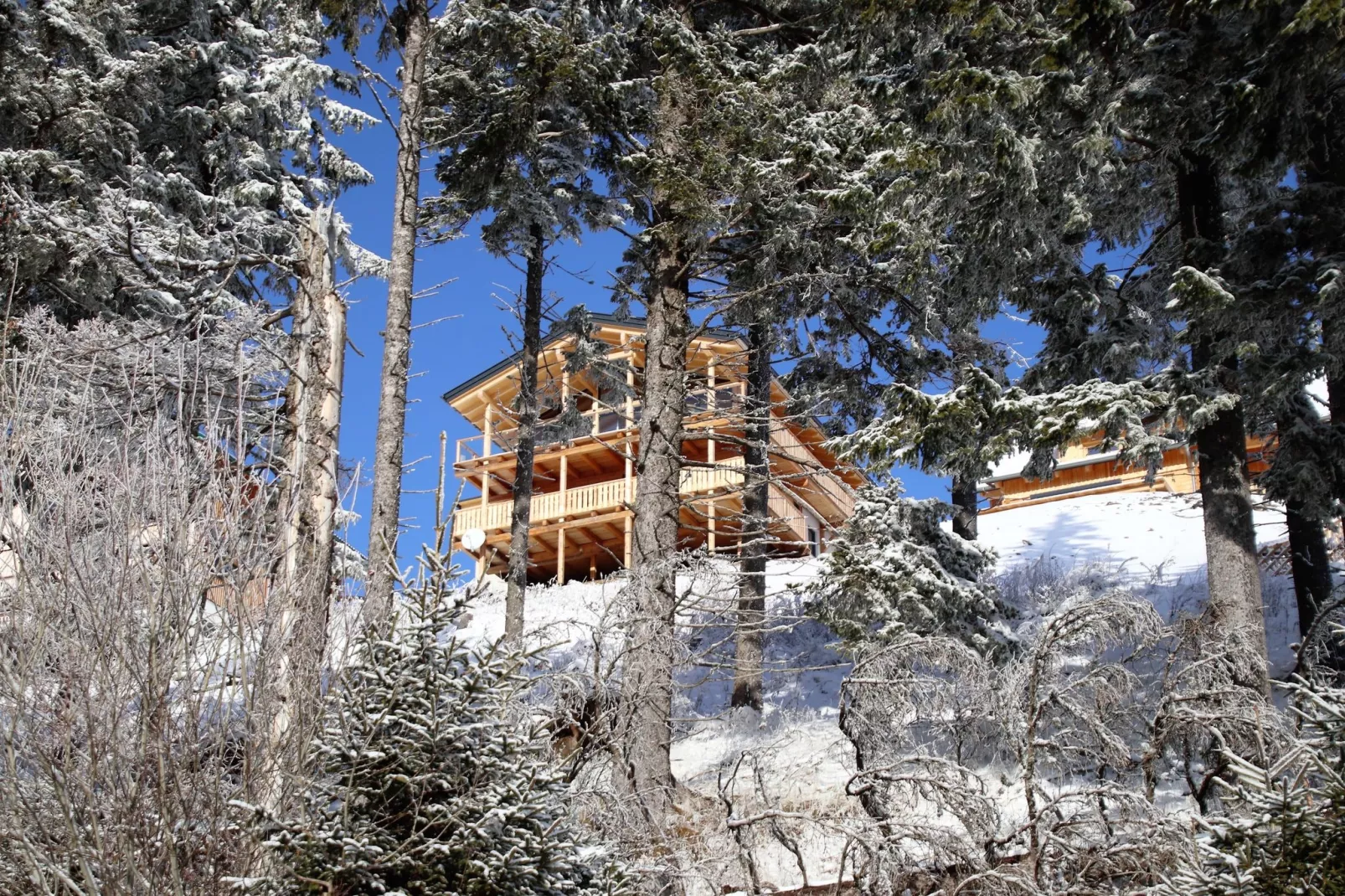 Alpina Lodge-Exterieur winter