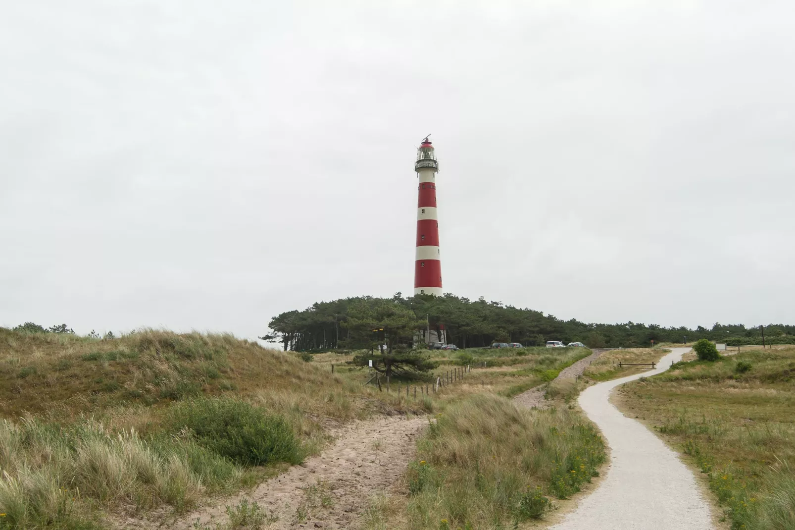 Sea Lodges Ameland 1-Gebieden zomer 1km