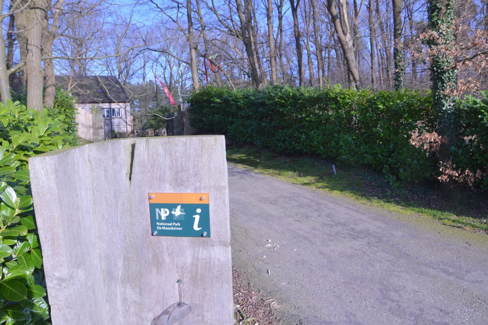 Lodge Maasduinen-Buitenkant zomer