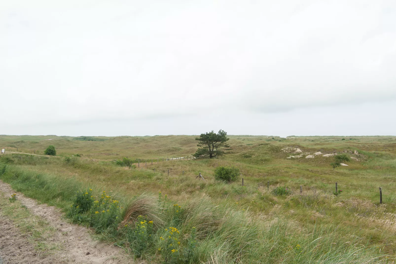 Sea Lodges Ameland 1-Gebieden zomer 1km