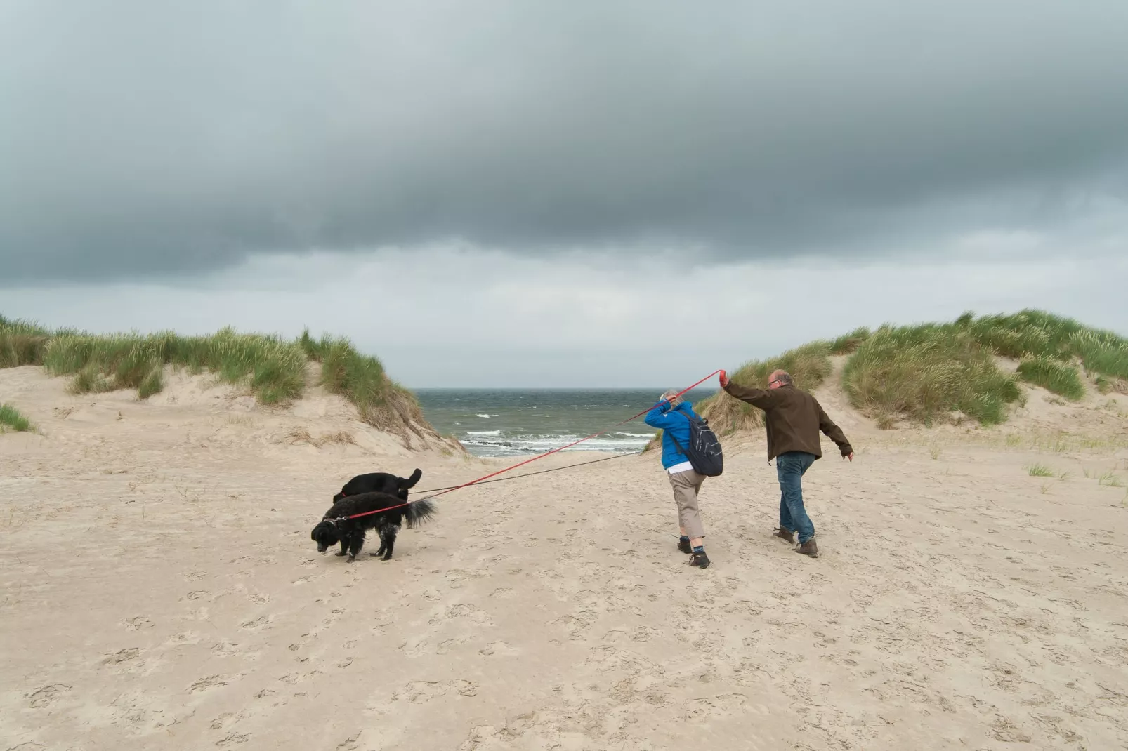 Sea Lodges Ameland 1-Sfeer