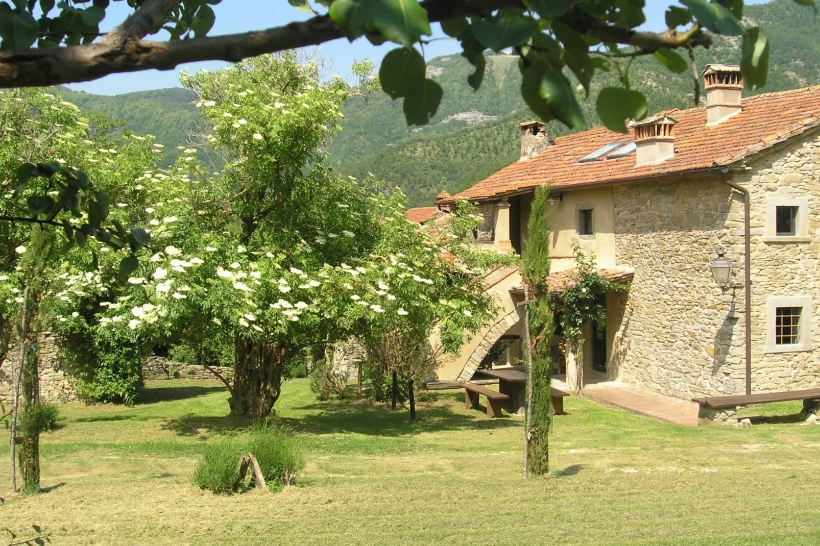 San Godenzo Casa Grande 1-Tuinen zomer