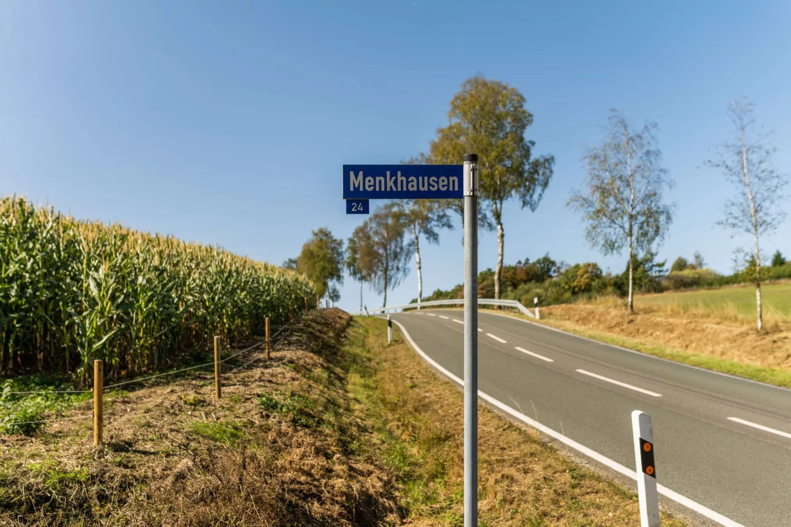 Hardebusch-Gebieden zomer 1km