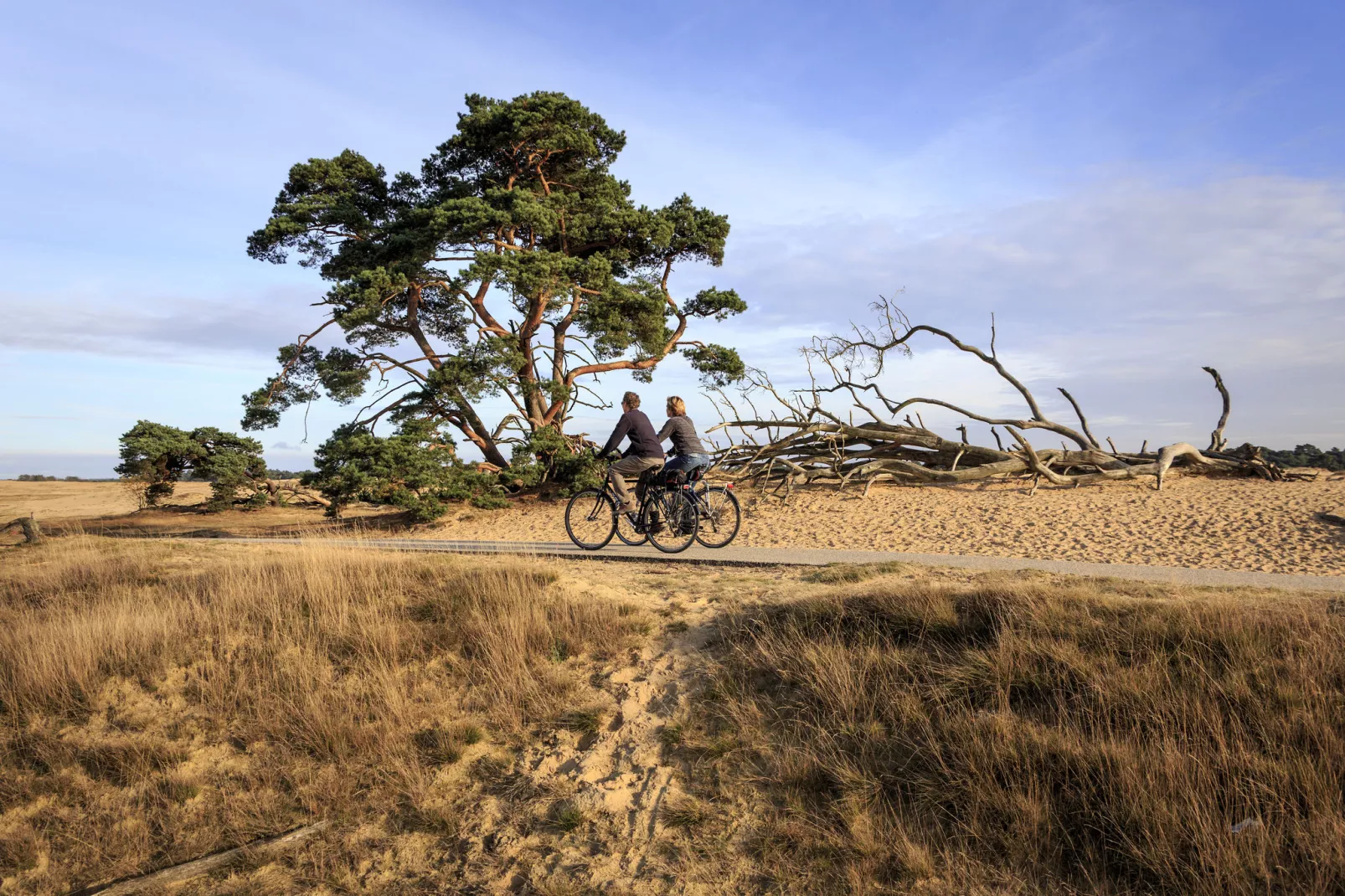 Bungalowpark Hoenderloo 6-Gebieden zomer 20km