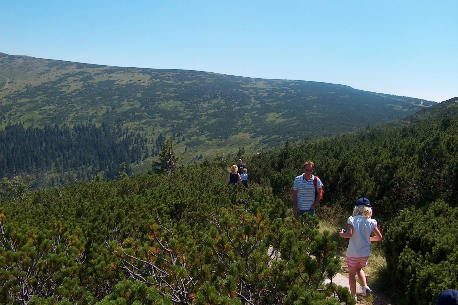 Przesieka-Gebieden zomer 20km