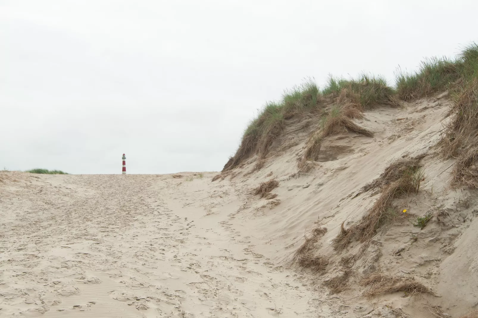 Sea Lodges Ameland 2-Gebieden zomer 1km