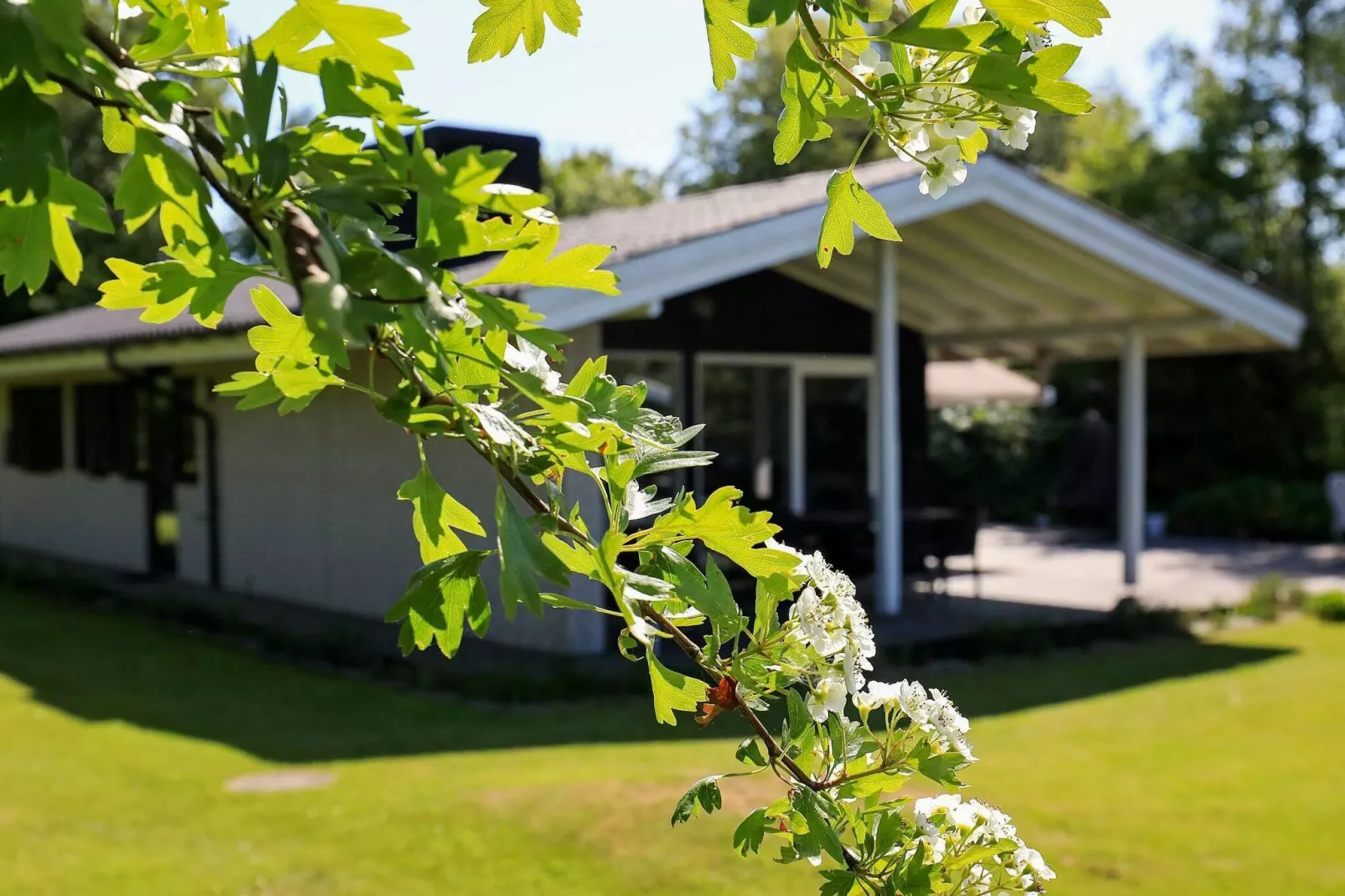 6 persoons vakantie huis in Væggerløse-Buitenlucht