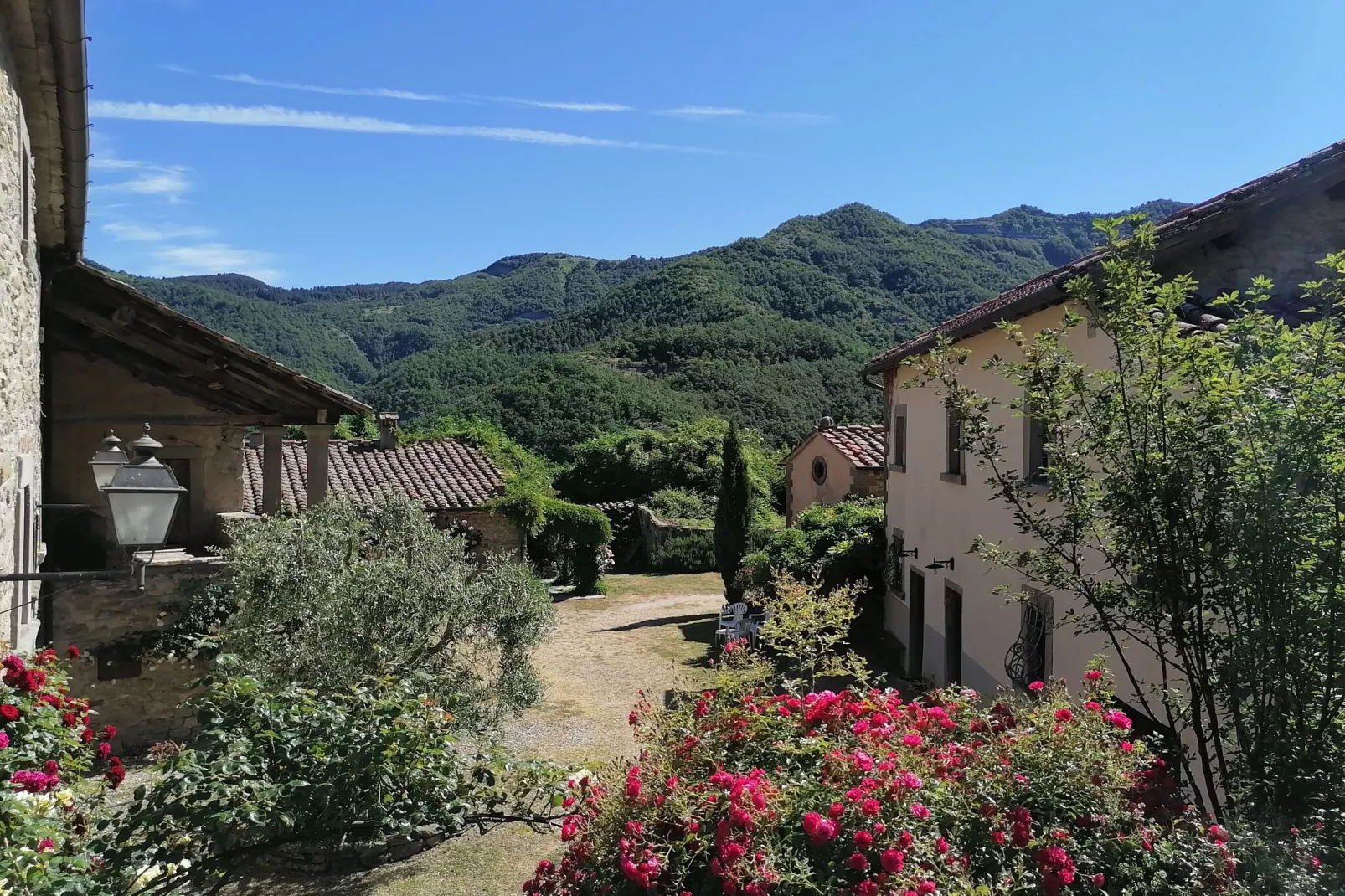 San Godenzo Casa Grande 2-Buitenkant zomer