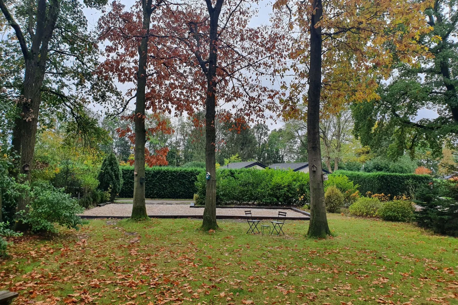 't Buitenhuis Holten-Uitzicht zomer
