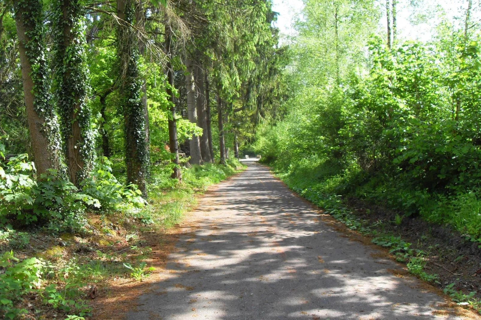 Les Cherbins-Gebieden zomer 20km