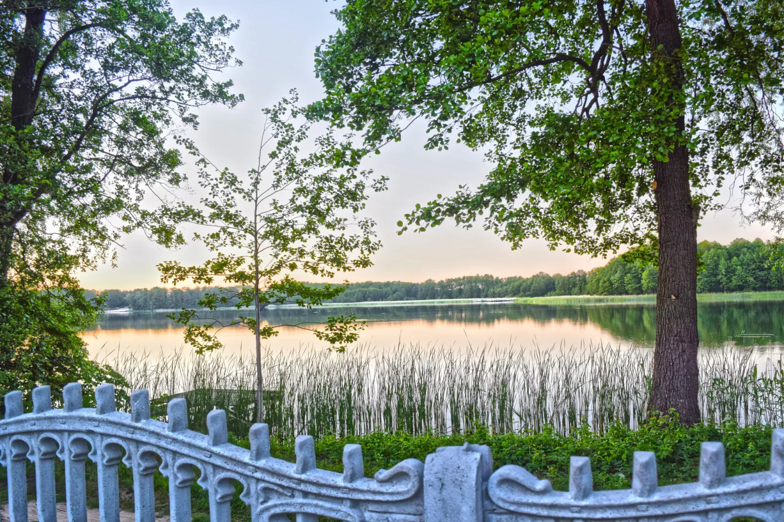 A house on the shore of the lake-Uitzicht zomer