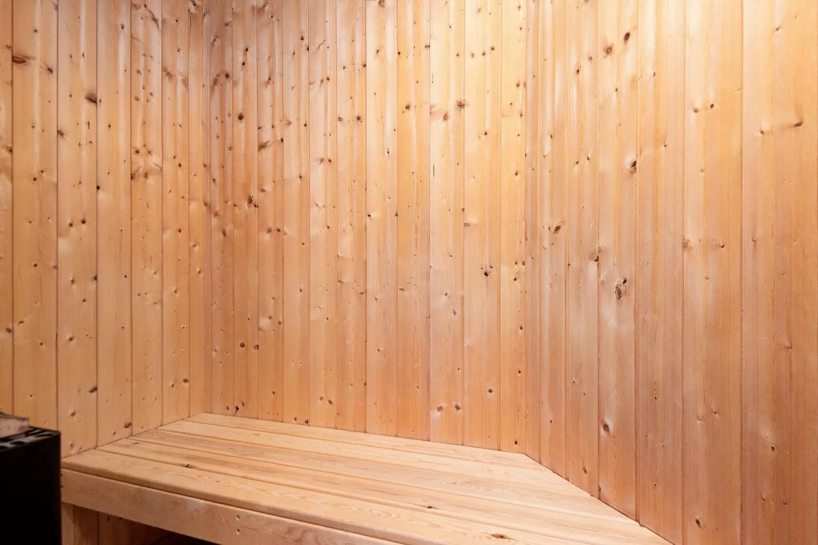 Modern vakantiehuis in Hemmet met grote sauna-Sauna
