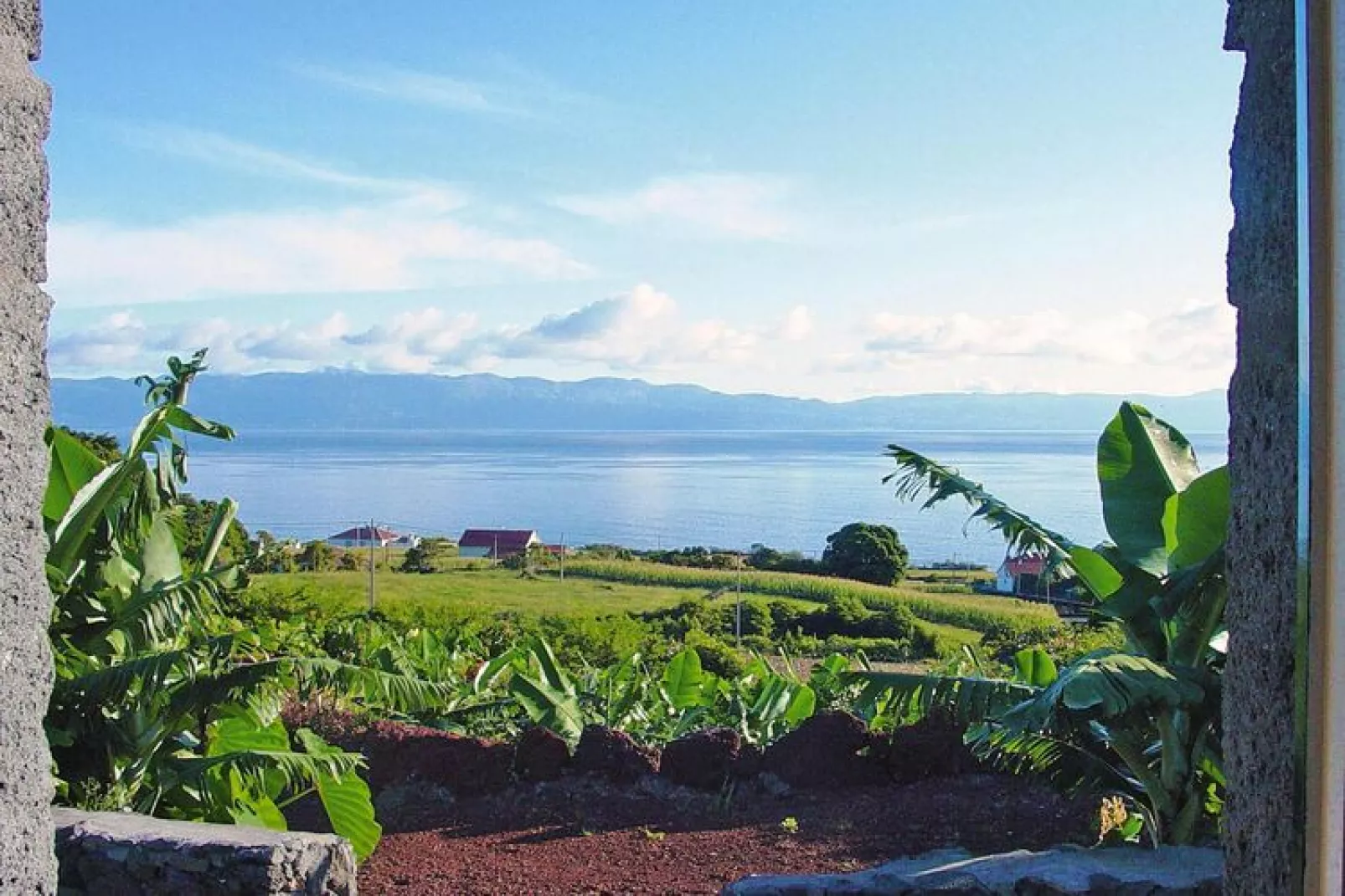 Ferienhäuser Adegas do Pico in Prainha // Adega T3 / 90-120m2-Tuinen zomer