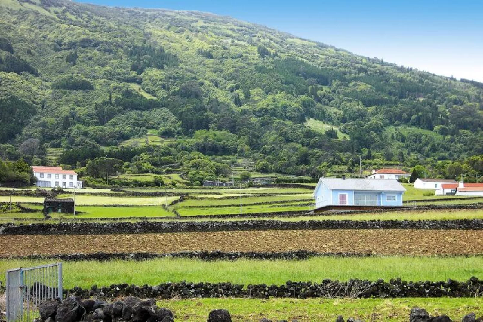 Ferienhäuser Adegas do Pico in Prainha // Adega T3 / 90-120m2-Uitzicht zomer