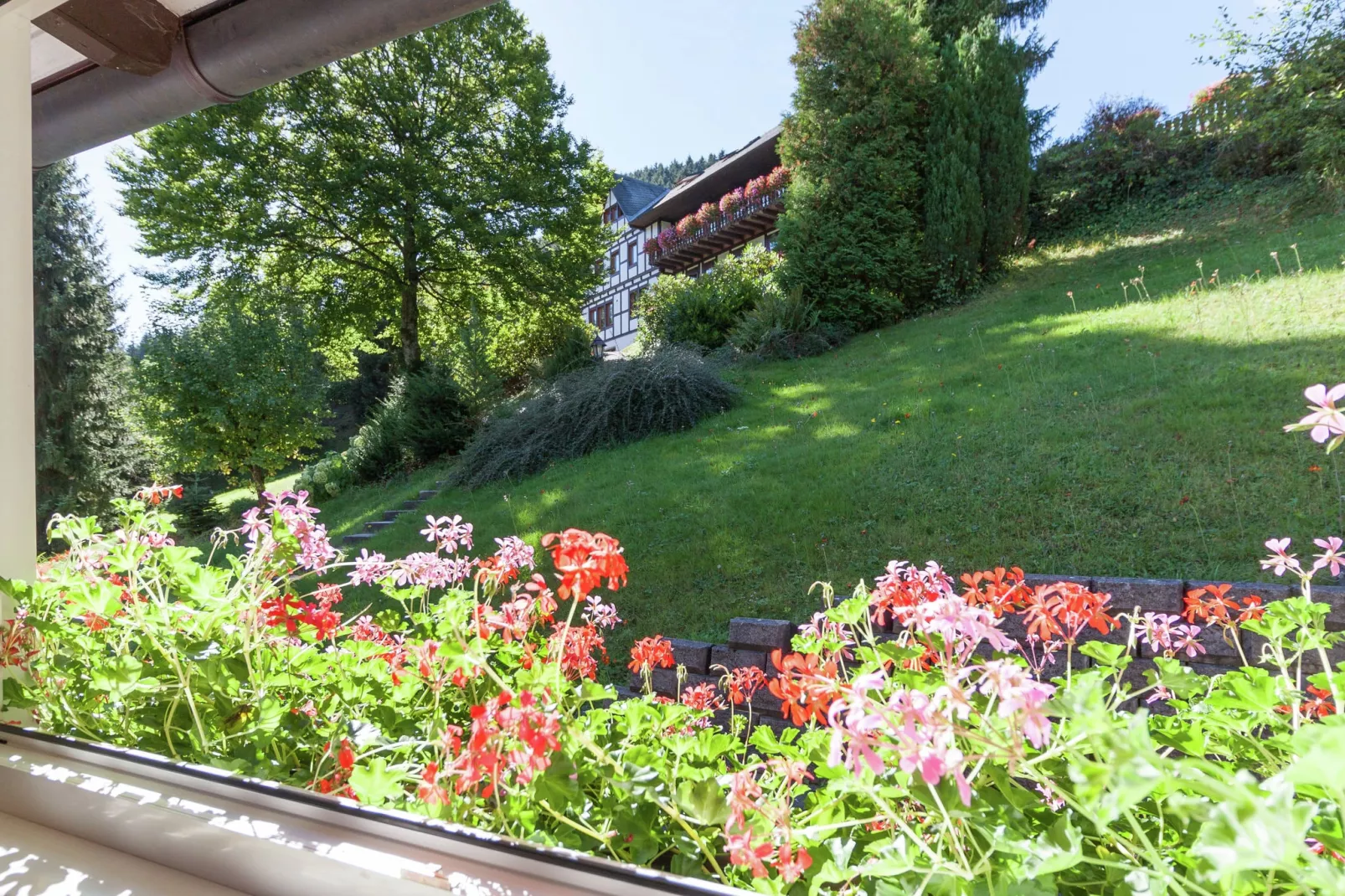 Oberkirchen-Uitzicht zomer