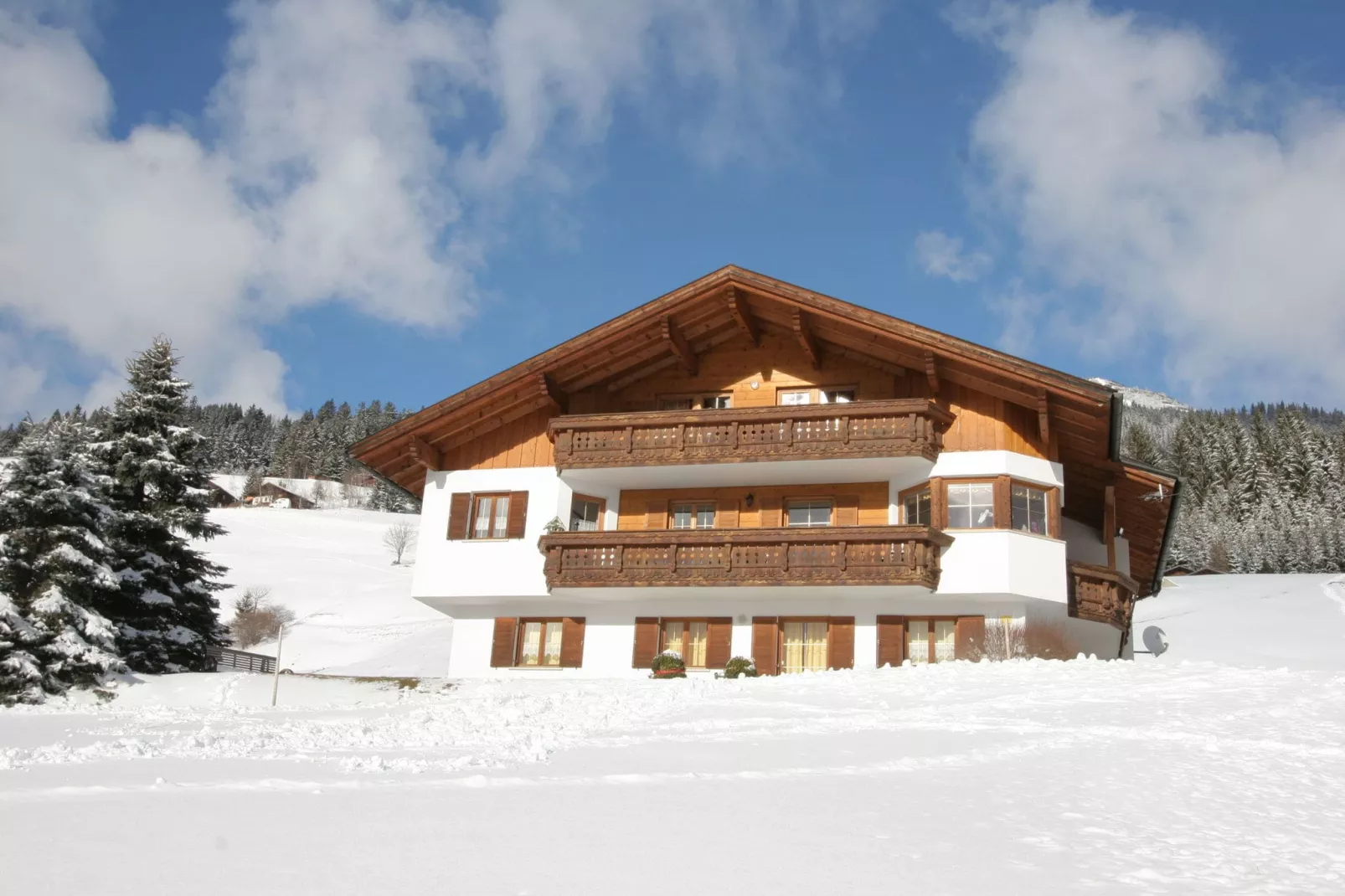 Karakeristiek appartement in Montafon met privétuin-Exterieur winter
