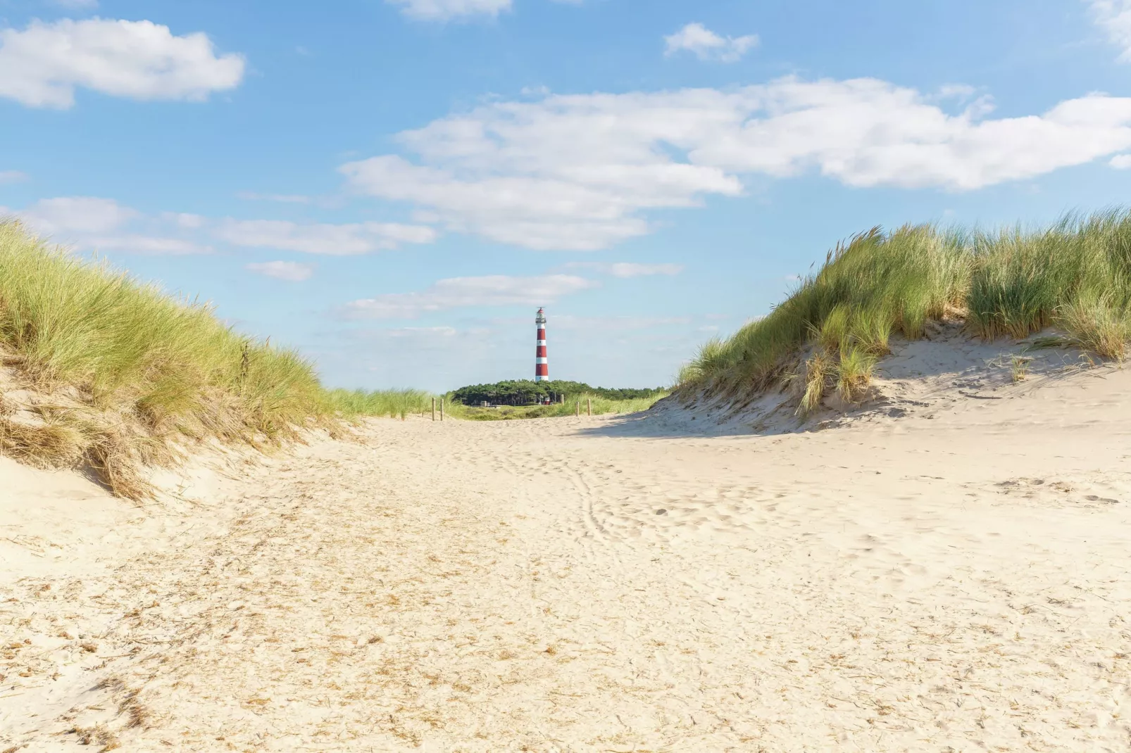 Vakantiepark Boomhiemke 11-Gebieden zomer 5km