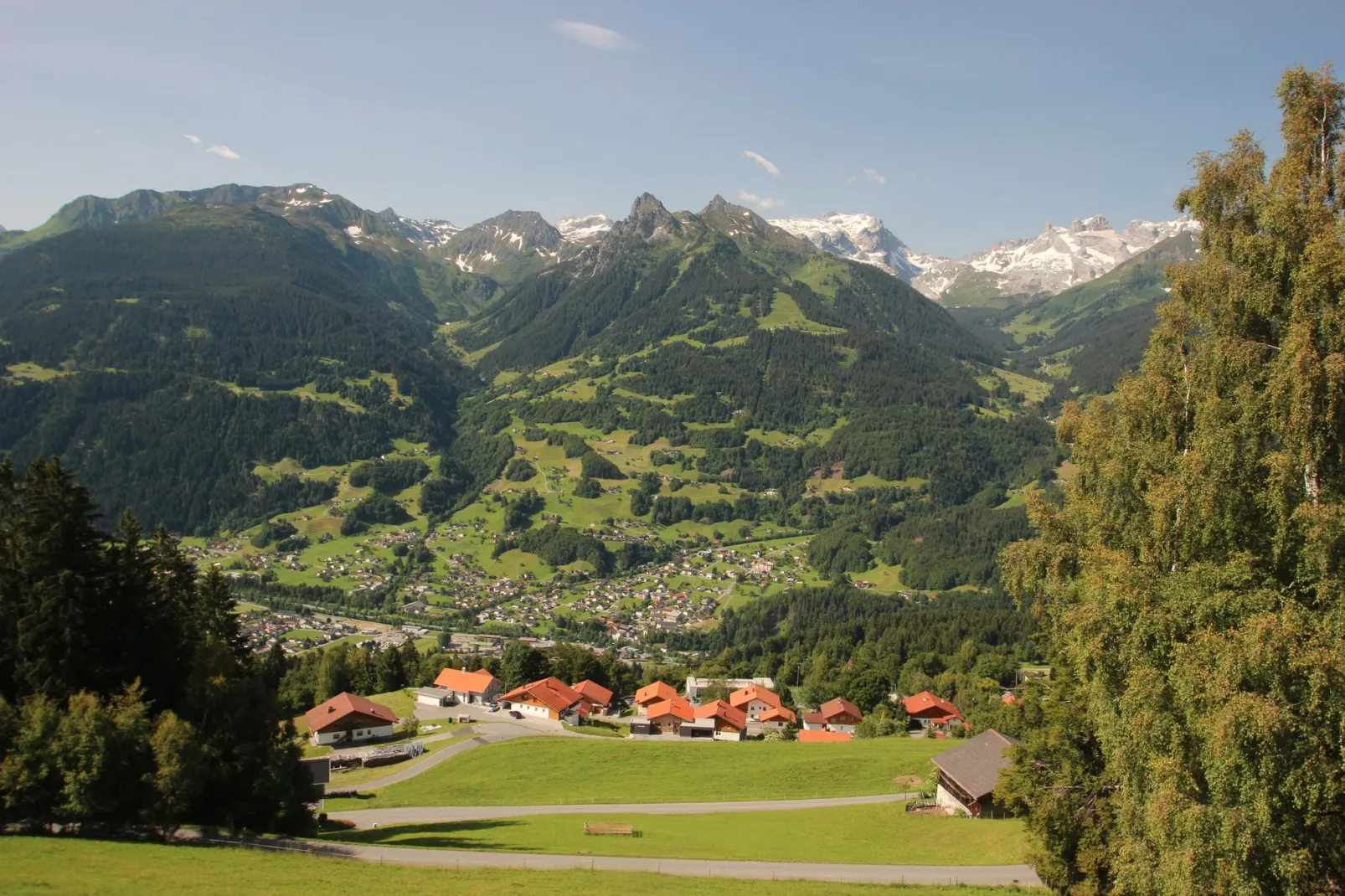 Karakeristiek appartement in Montafon met privétuin-Uitzicht zomer