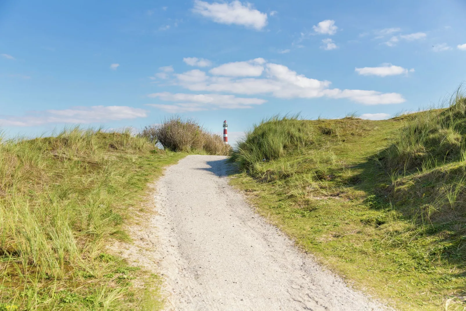 Vakantiepark Boomhiemke 12-Gebieden zomer 5km