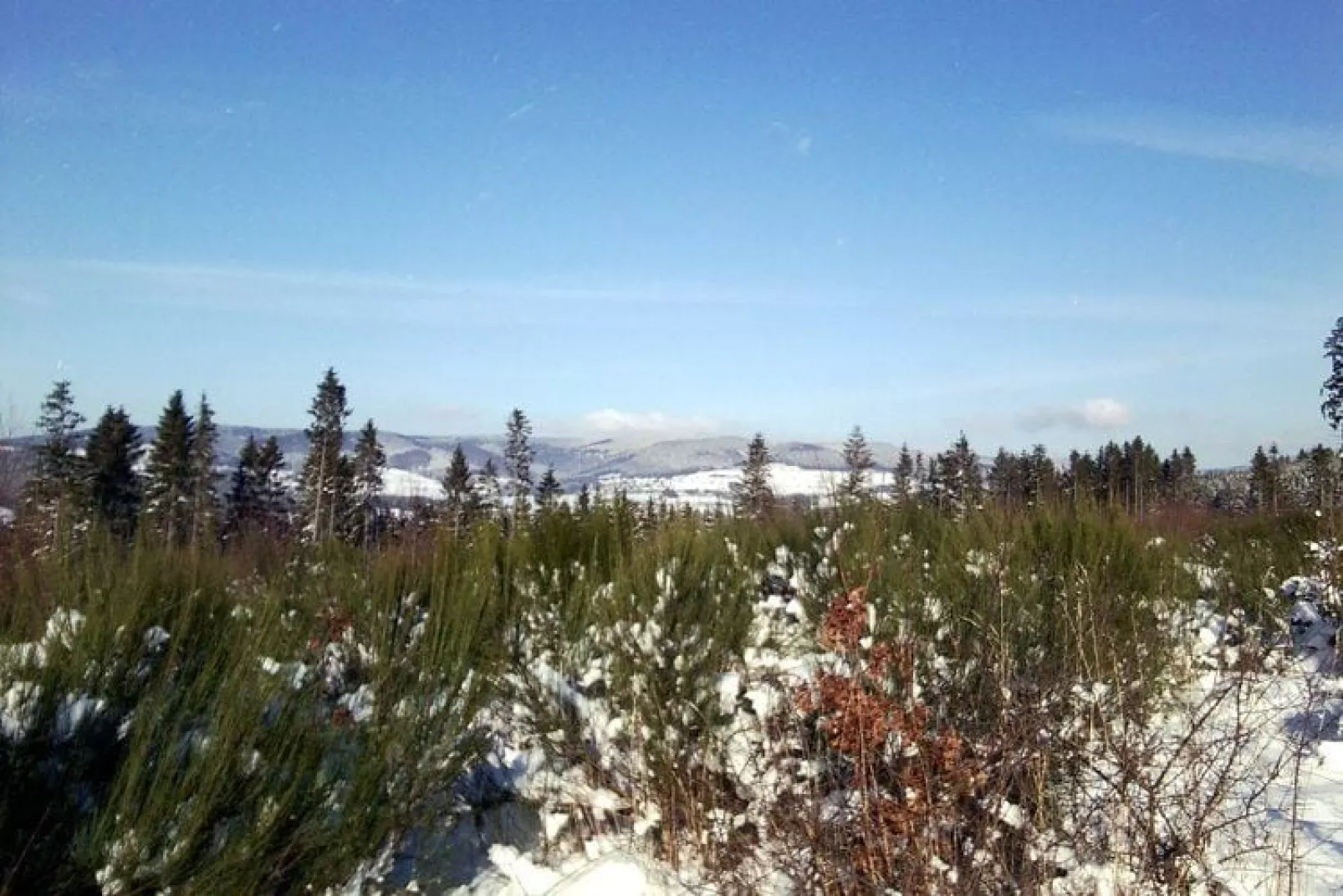 Hardebusch-Gebied winter 1km