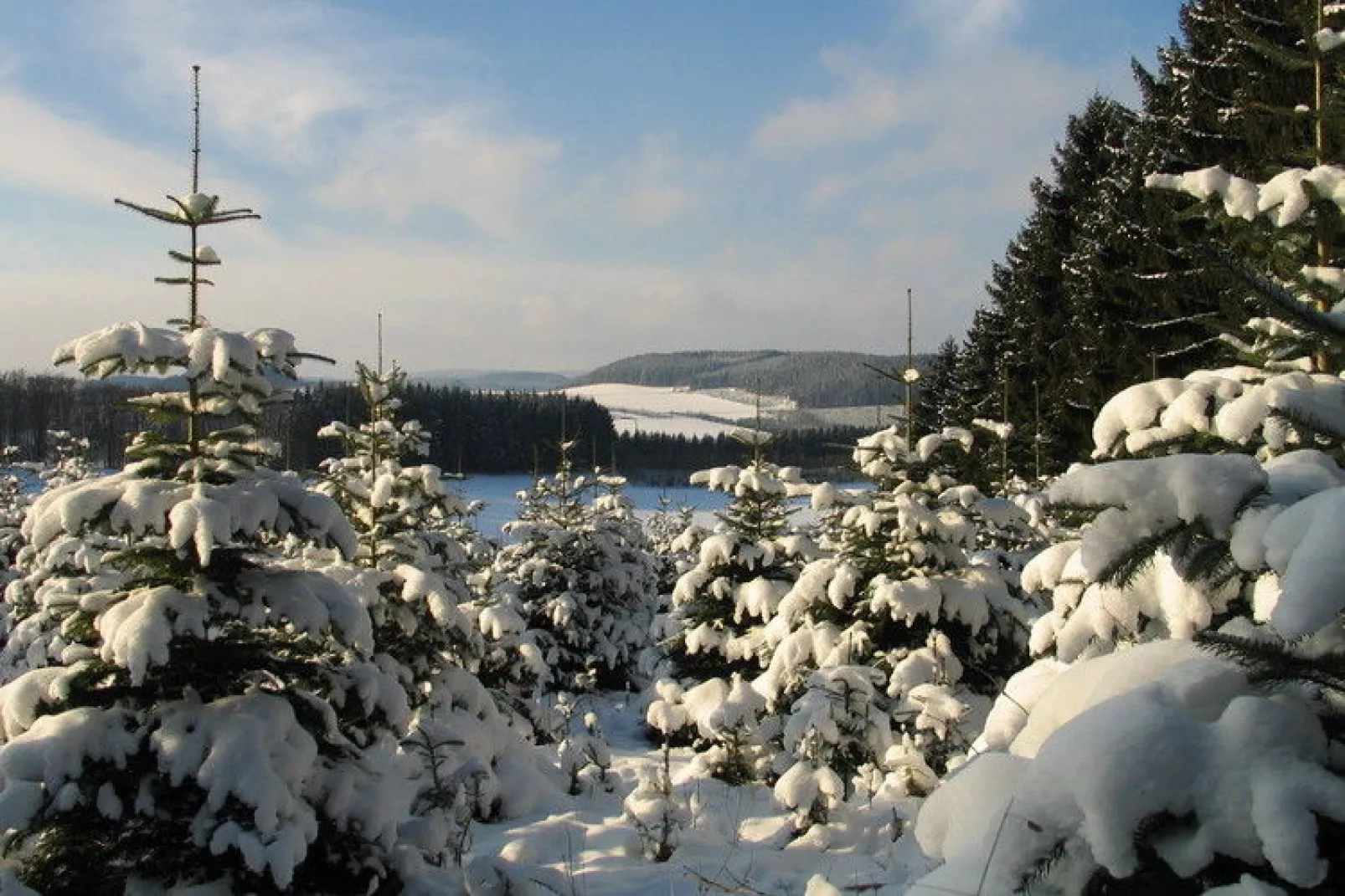 Hardebusch-Gebied winter 1km