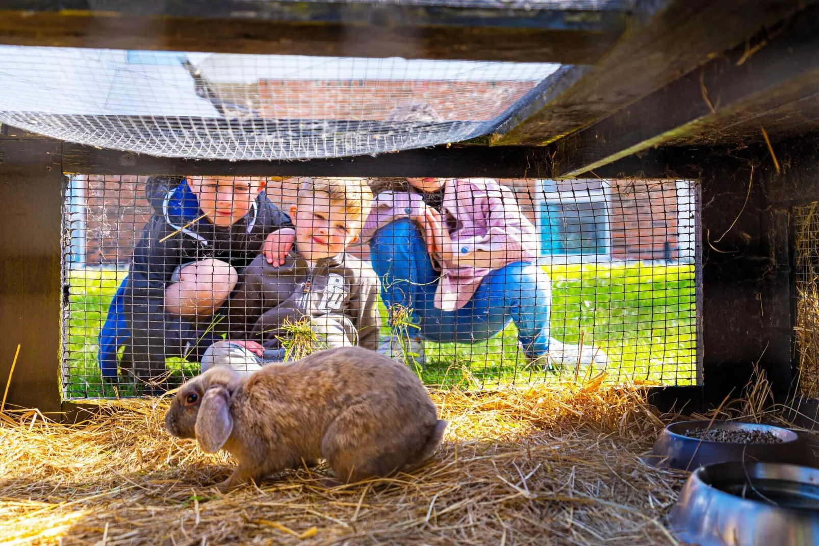 8 persoons vakantie huis op een vakantie park in Blåvand-Niet-getagd