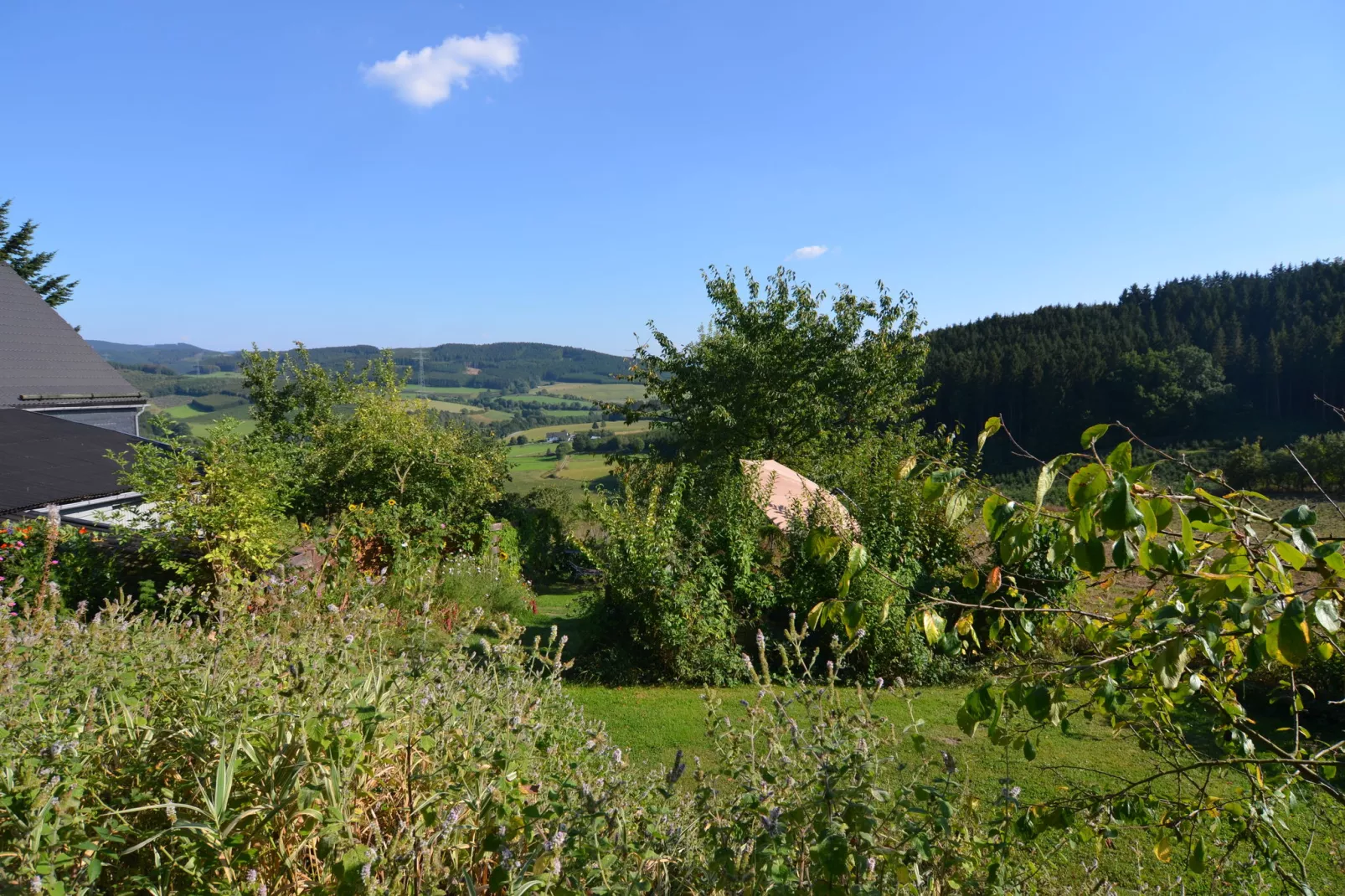 Hardebusch-Uitzicht zomer