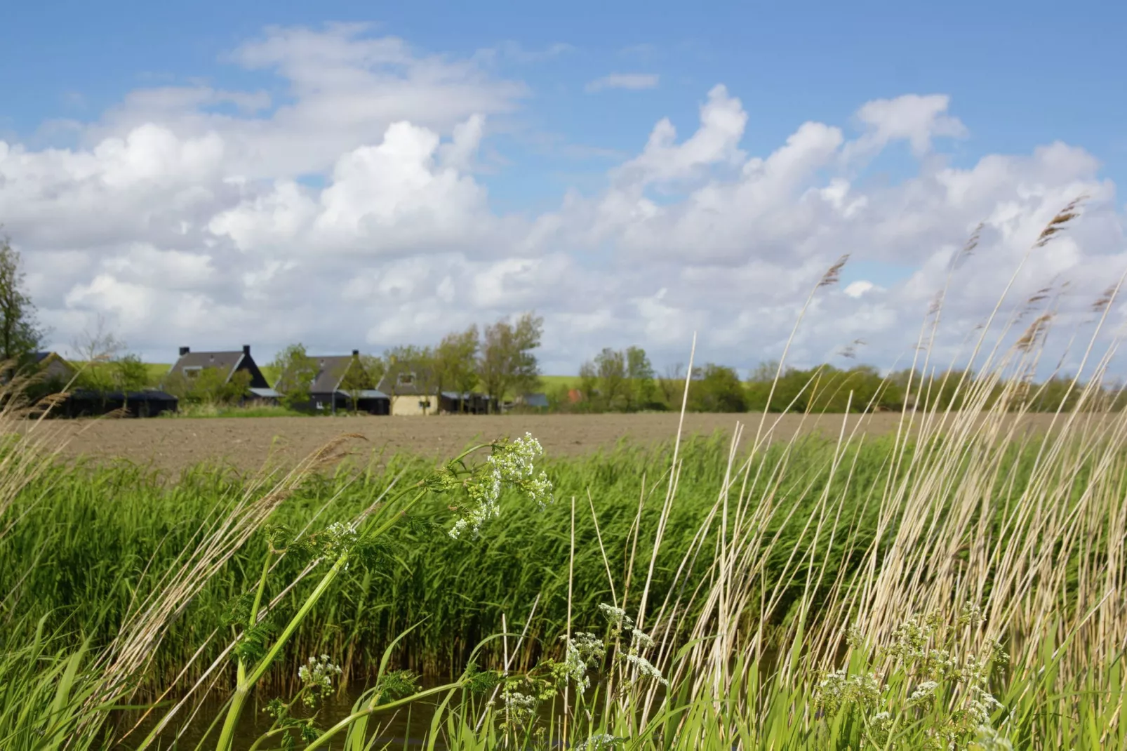 Zeedijk I-Uitzicht zomer