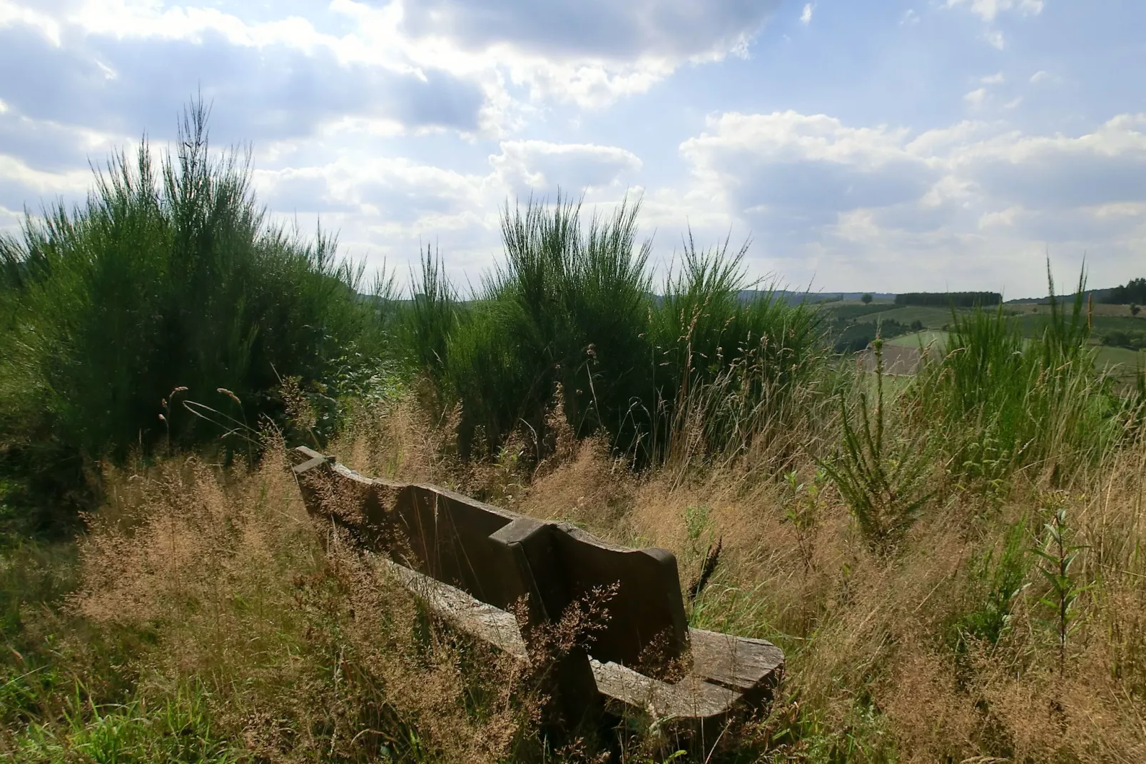 Hardebusch