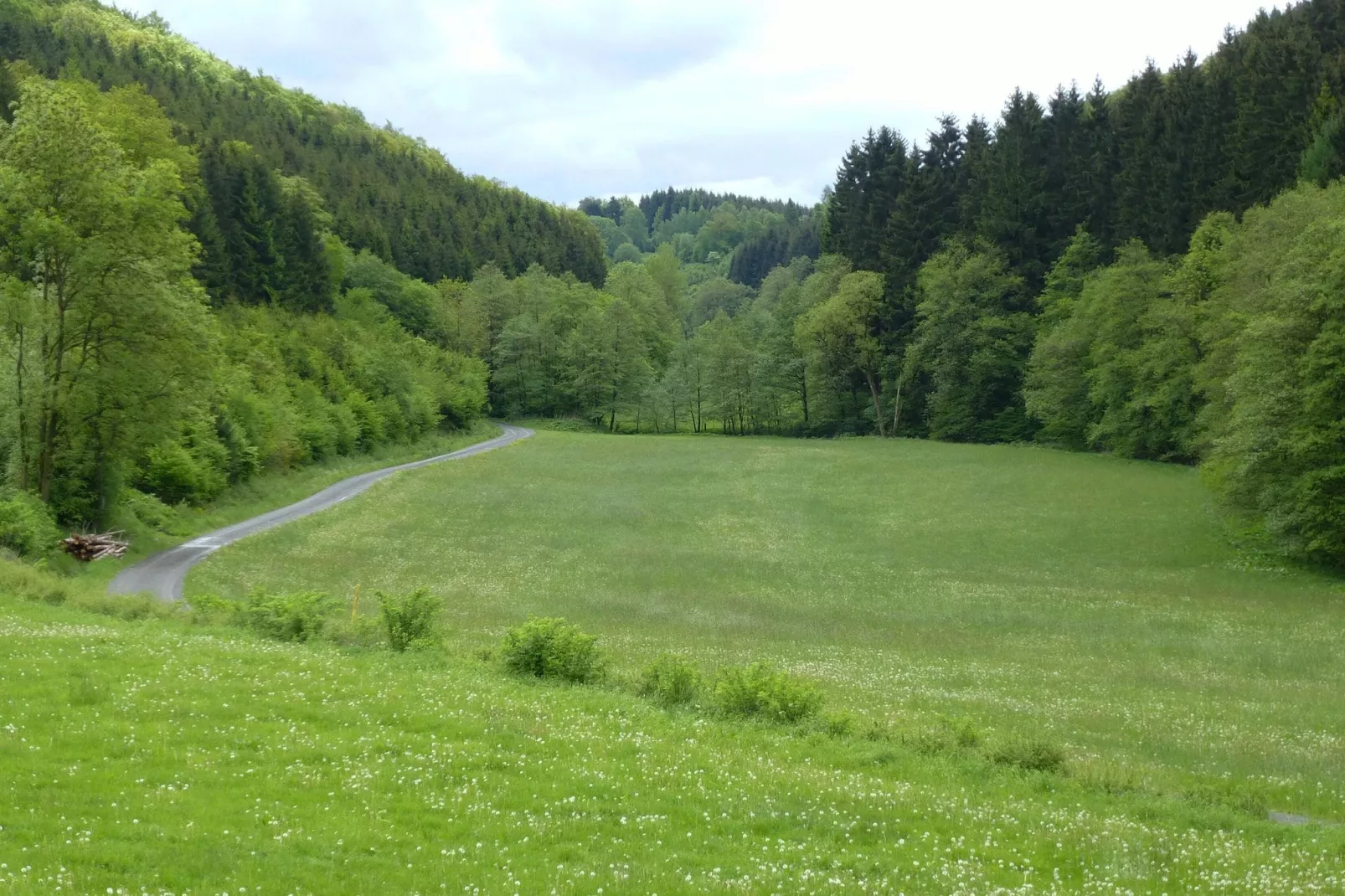 Oberkirchen-Gebieden zomer 1km