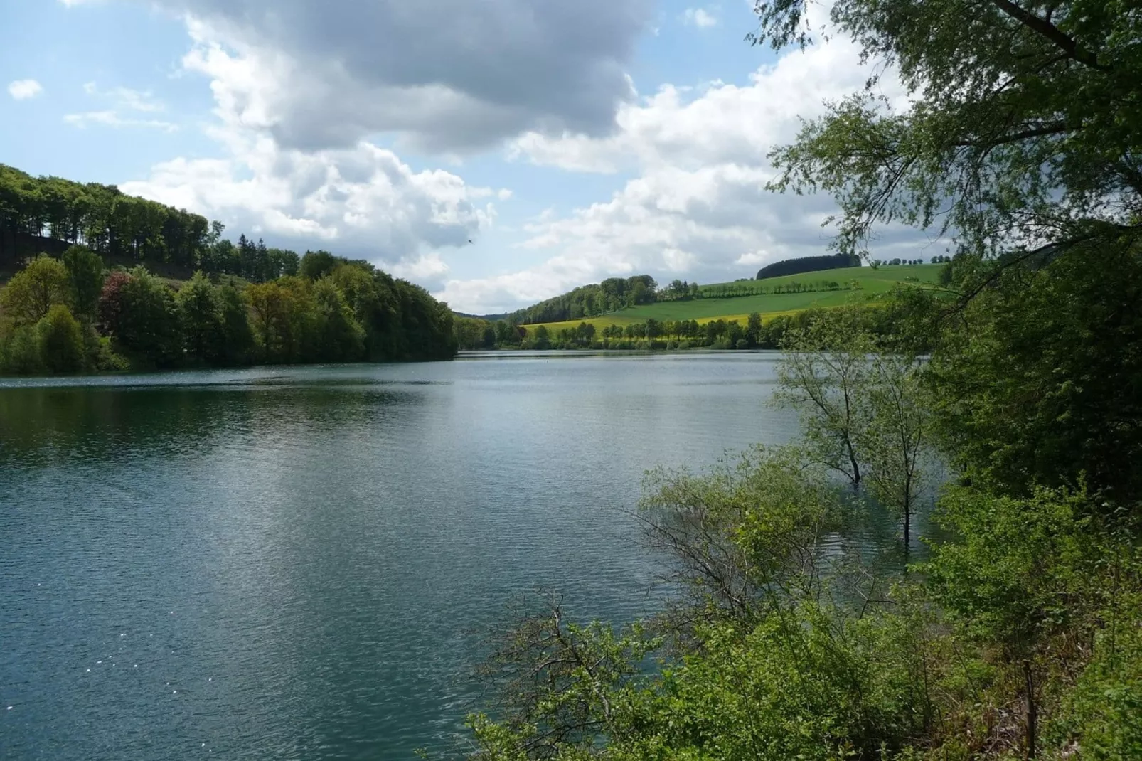 Oberkirchen-Gebieden zomer 5km