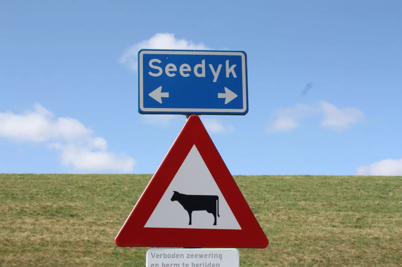 Zeedijk II-Gebieden zomer 1km