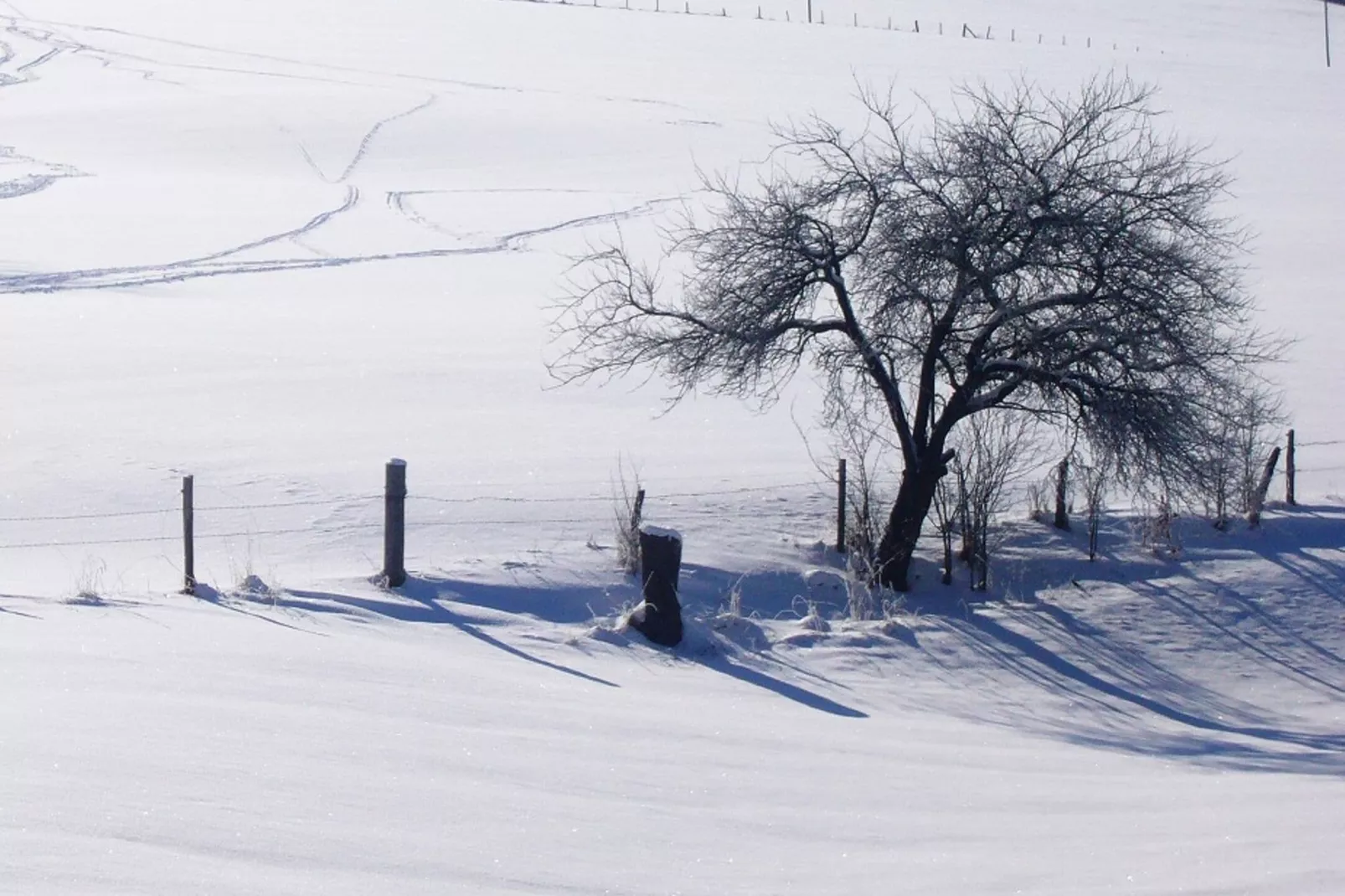 Hunau I-Gebied winter 1km