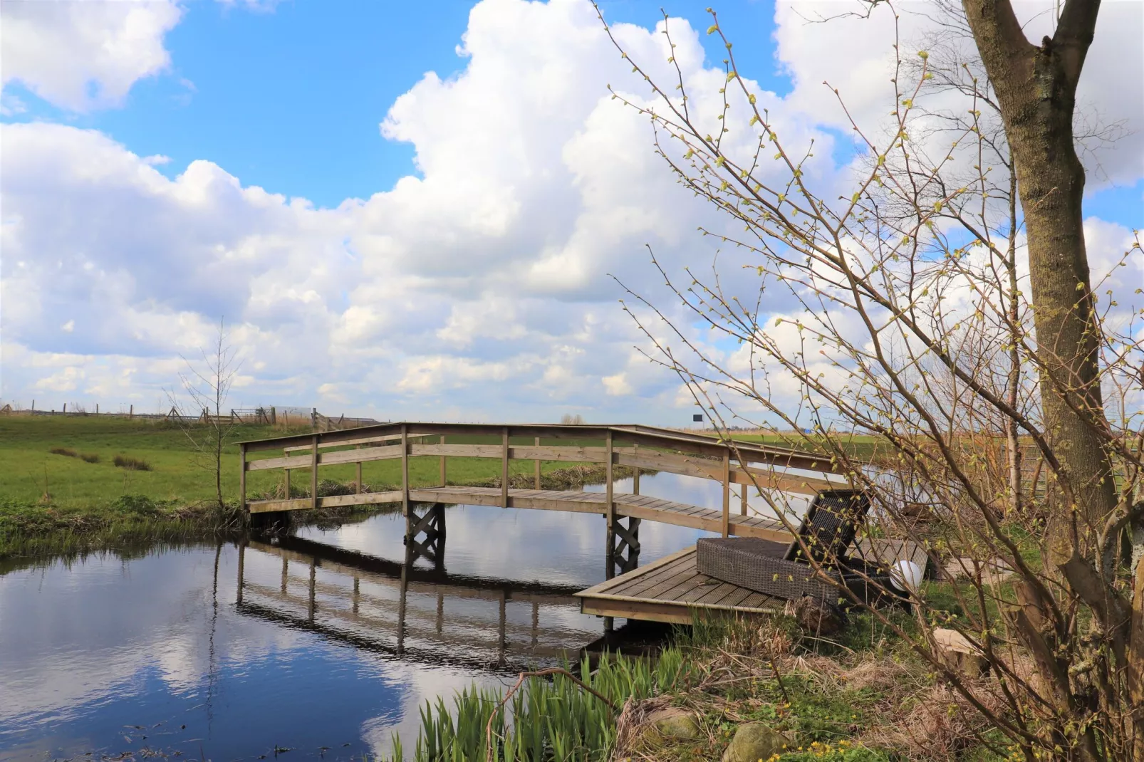 Knus chalet in Friesland met hottub-Uitzicht zomer