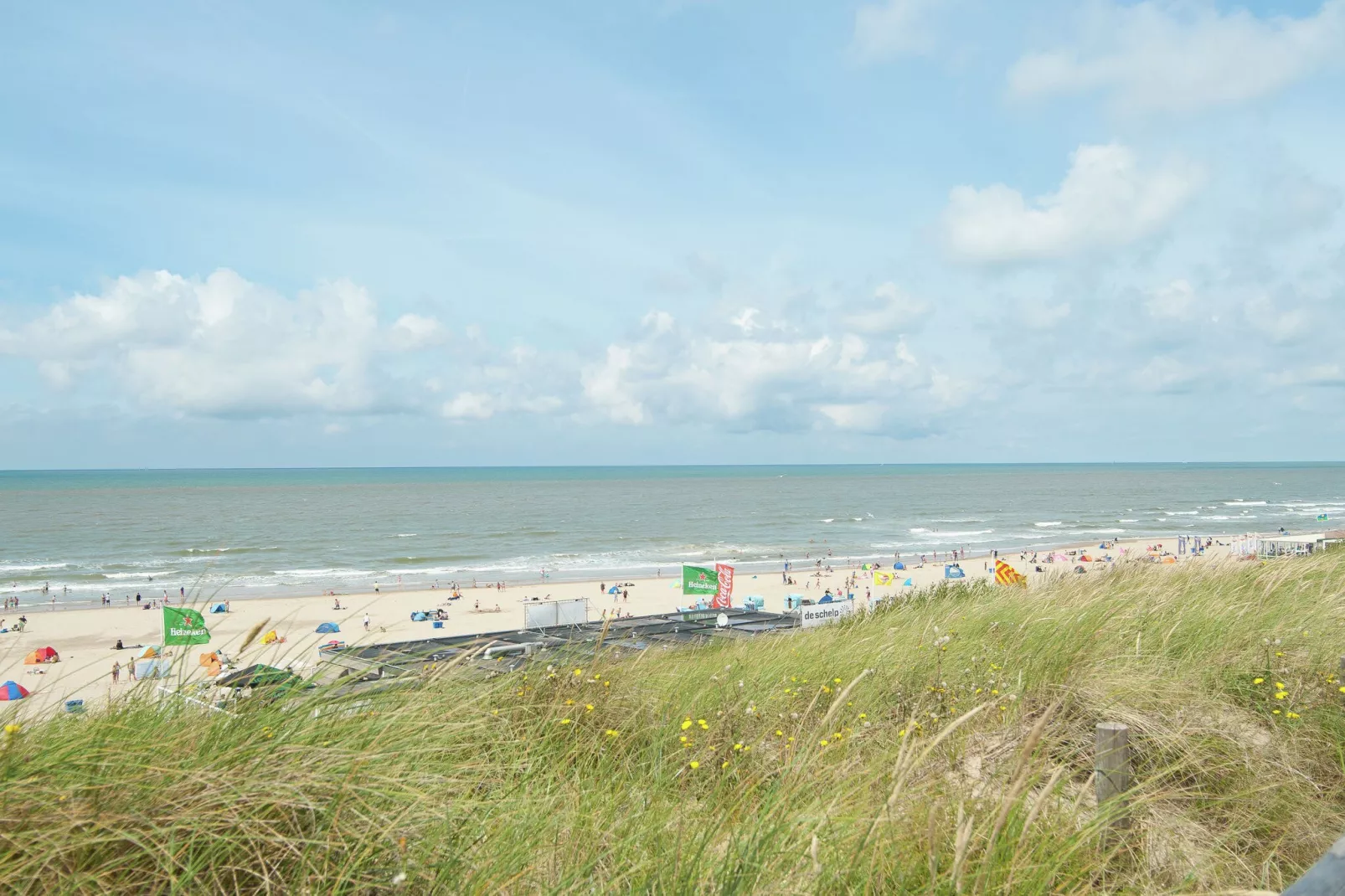 Naast het Bollenveld-Gebieden zomer 20km