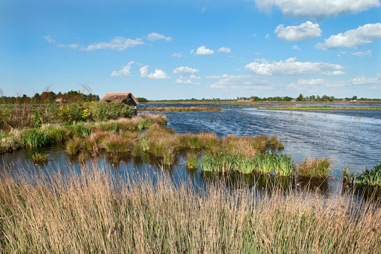 Knus chalet in Friesland met hottub-Gebieden zomer 5km