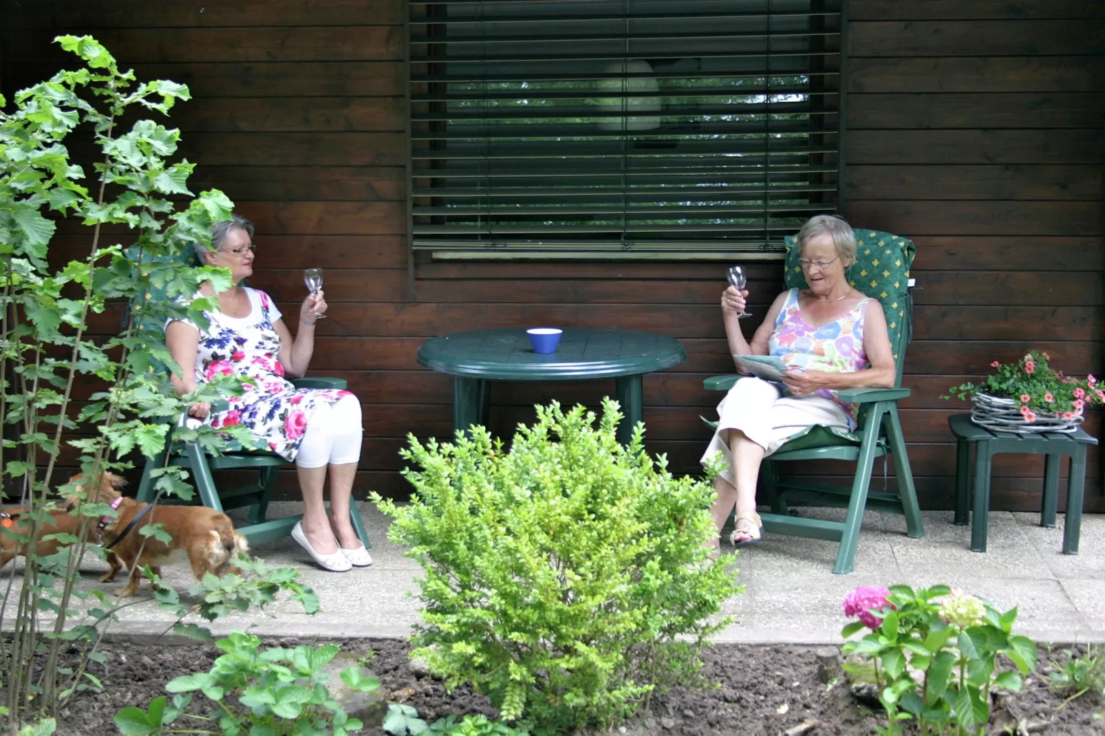 Chaletpark Kuiperberg 1-Terrasbalkon